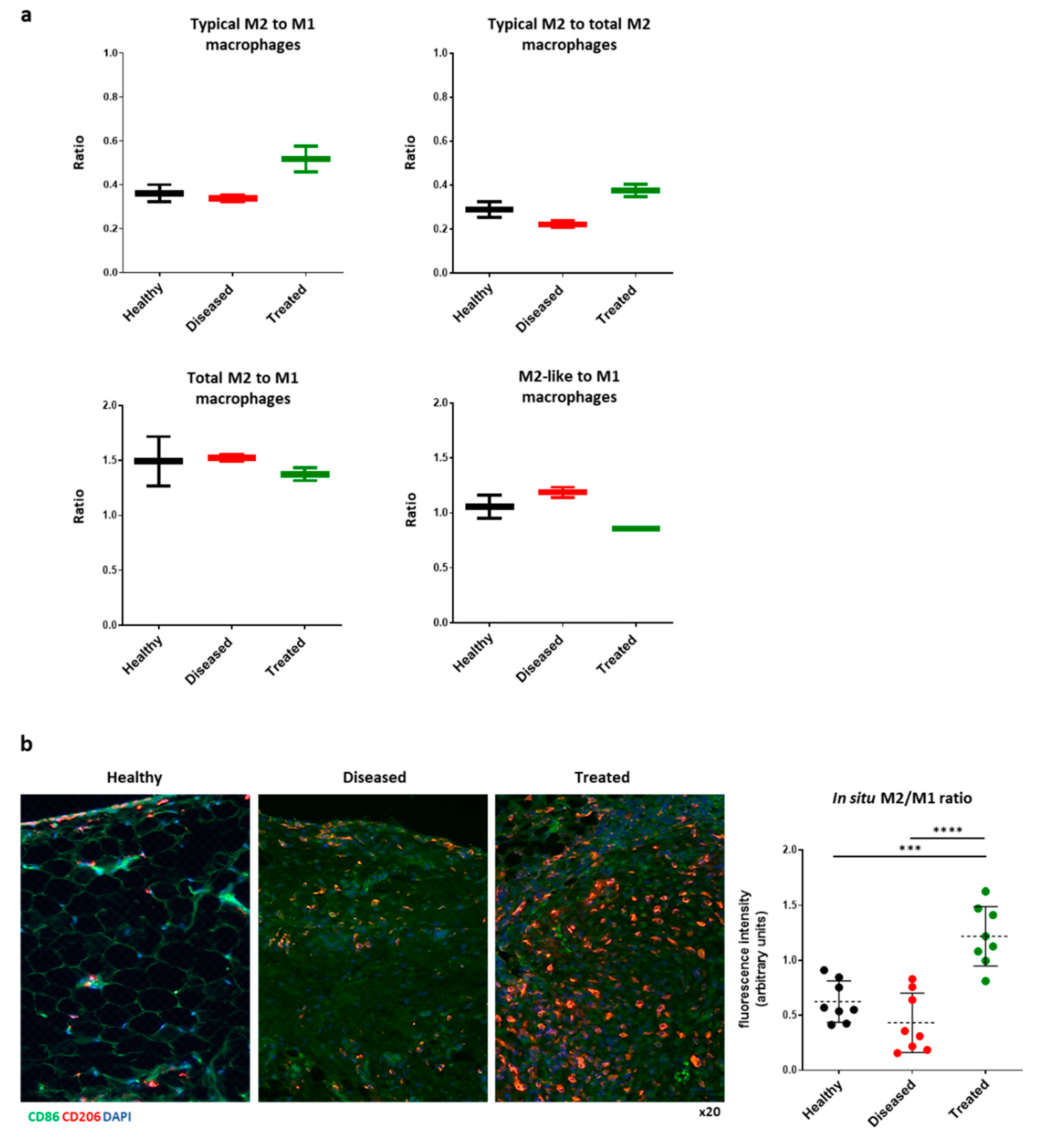Bioengineering 08 00166 g004
