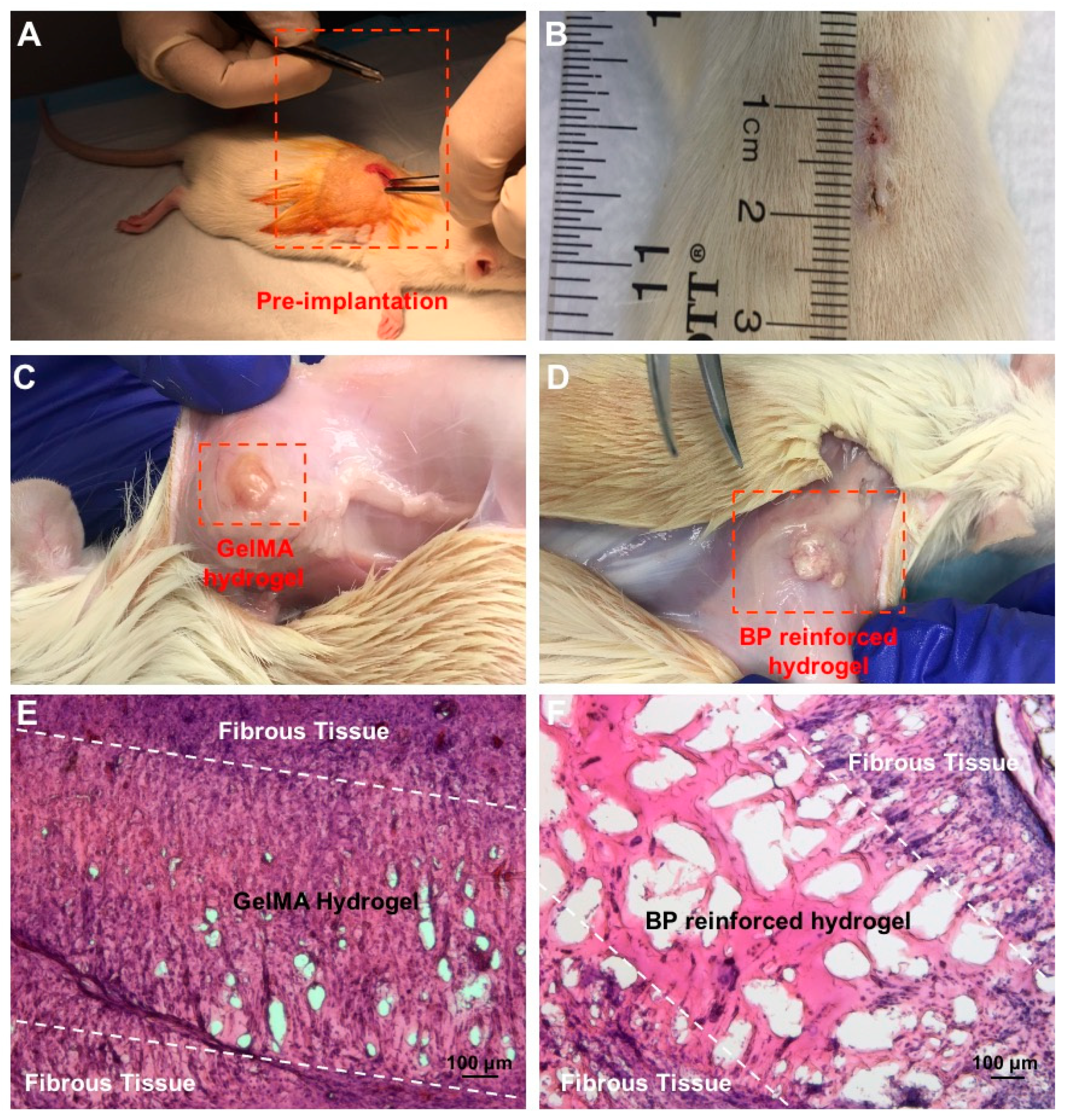 Bioengineering 08 00169 g005
