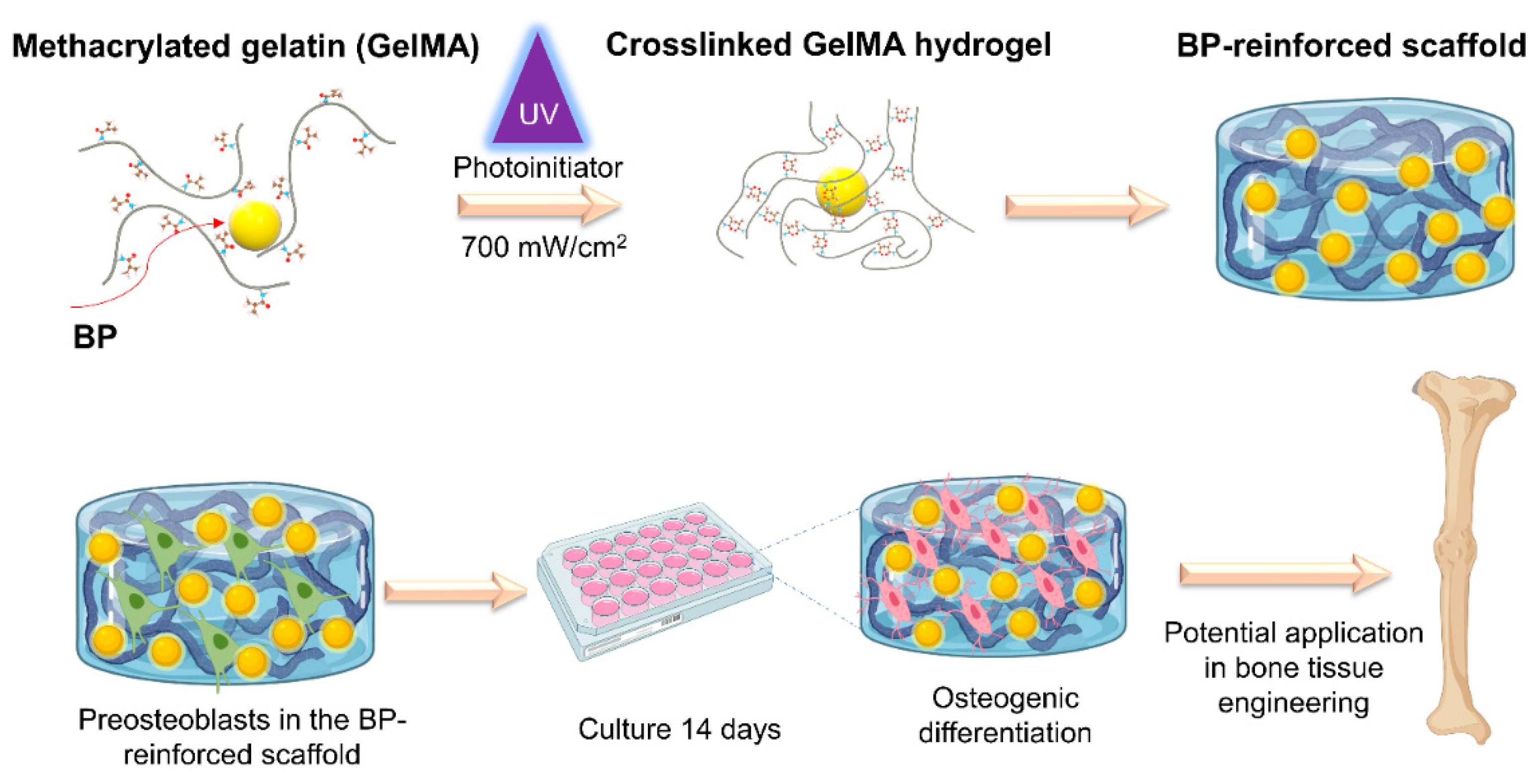 Bioengineering 08 00169 sch001