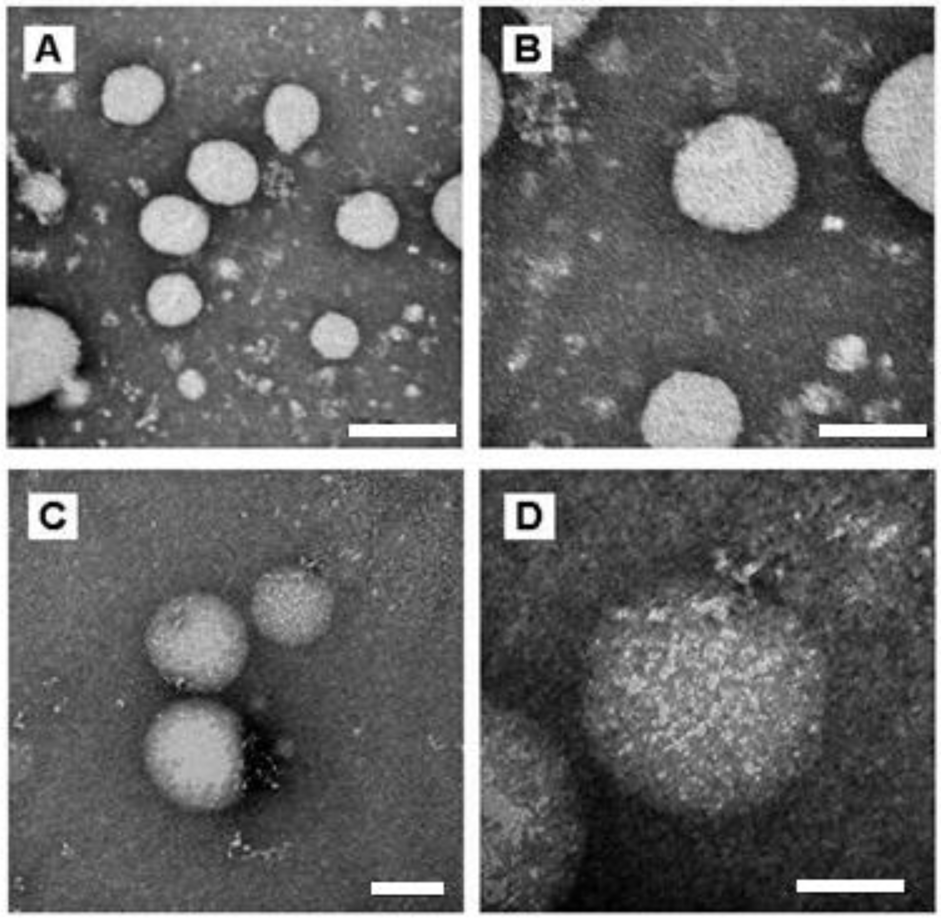Bioengineering 08 00172 g002