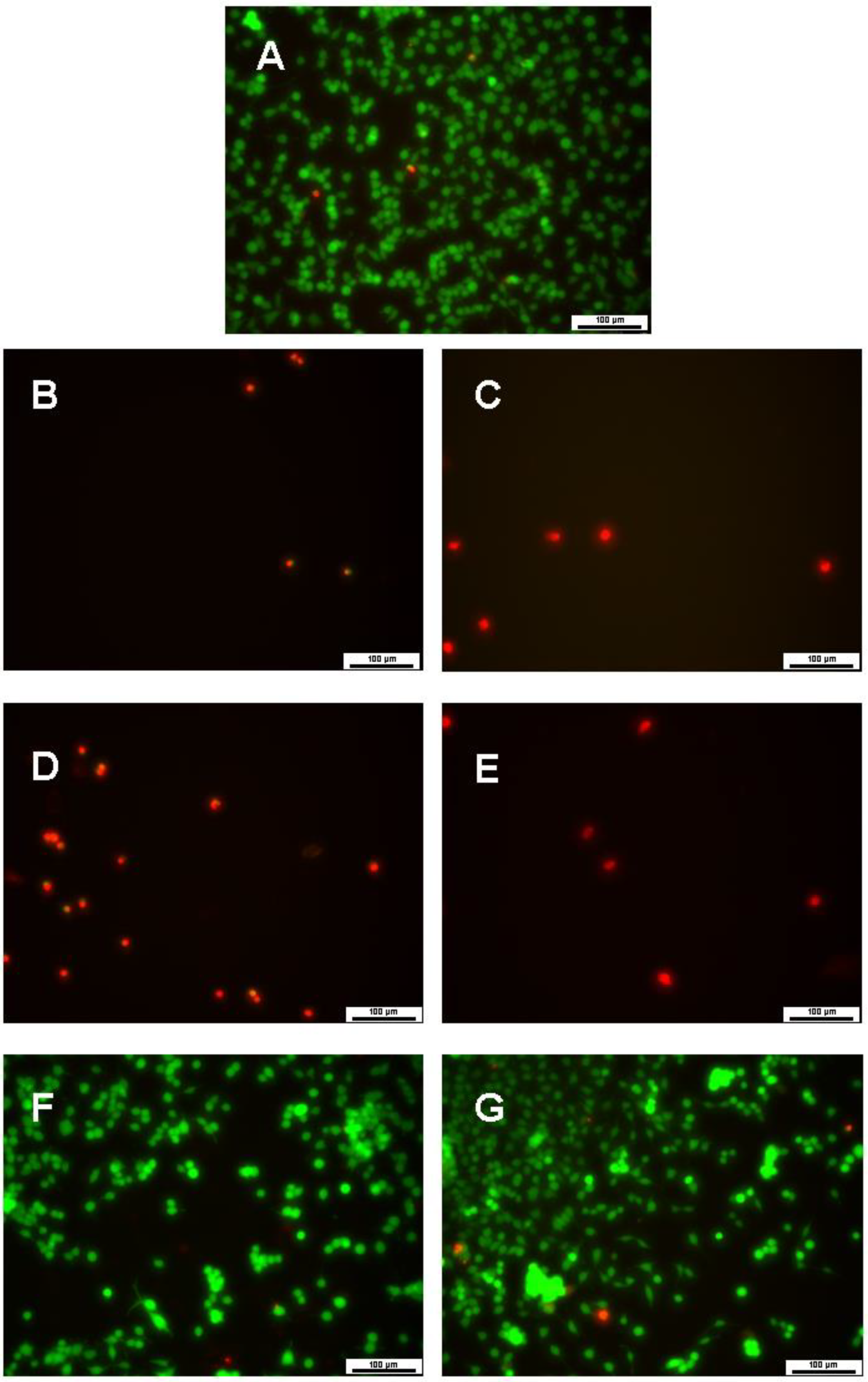 Bioengineering 08 00172 g009