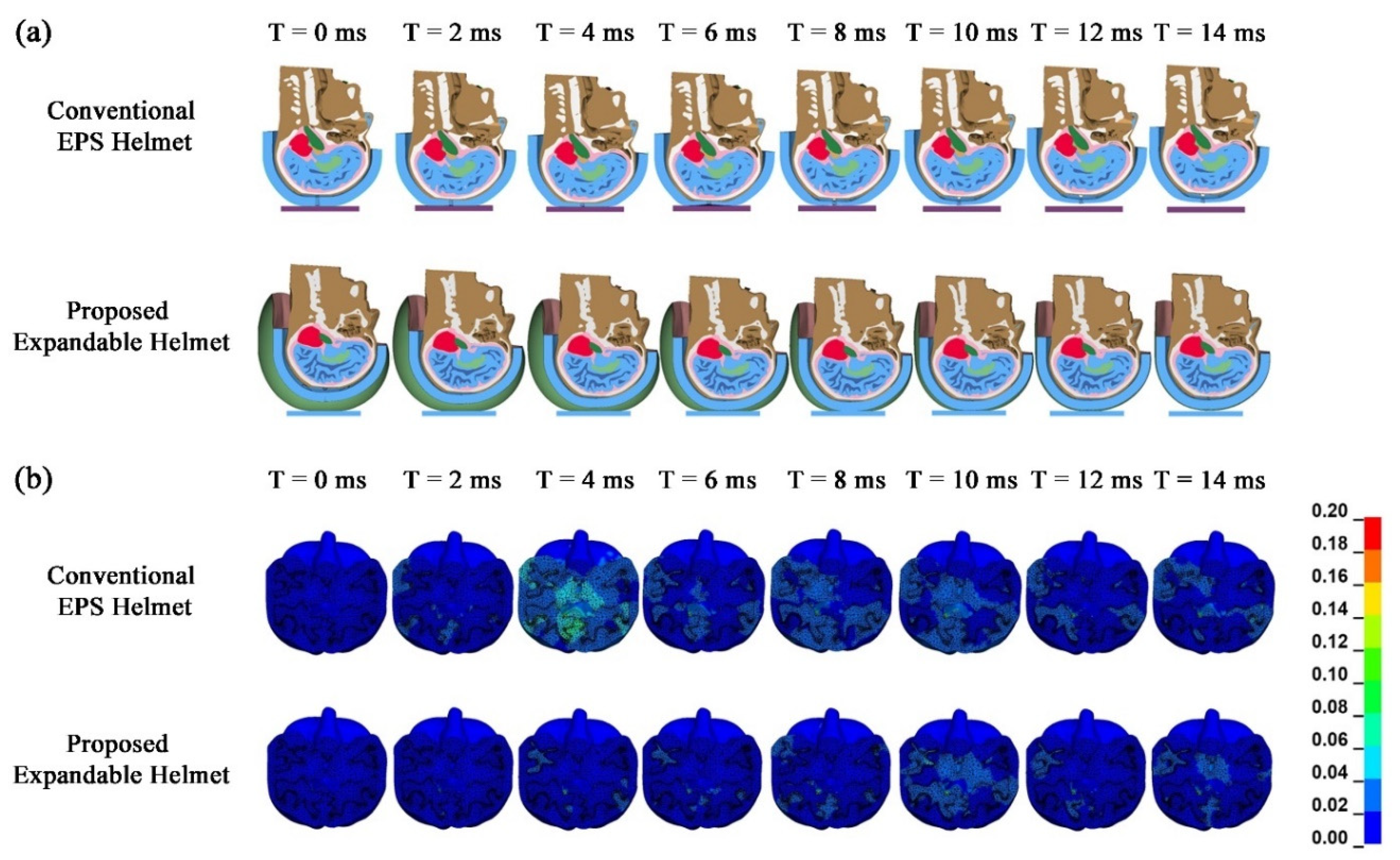 Bioengineering 08 00173 g004 Bioengineering 08 00173 g004