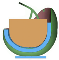 Bioengineering 08 00173 i002