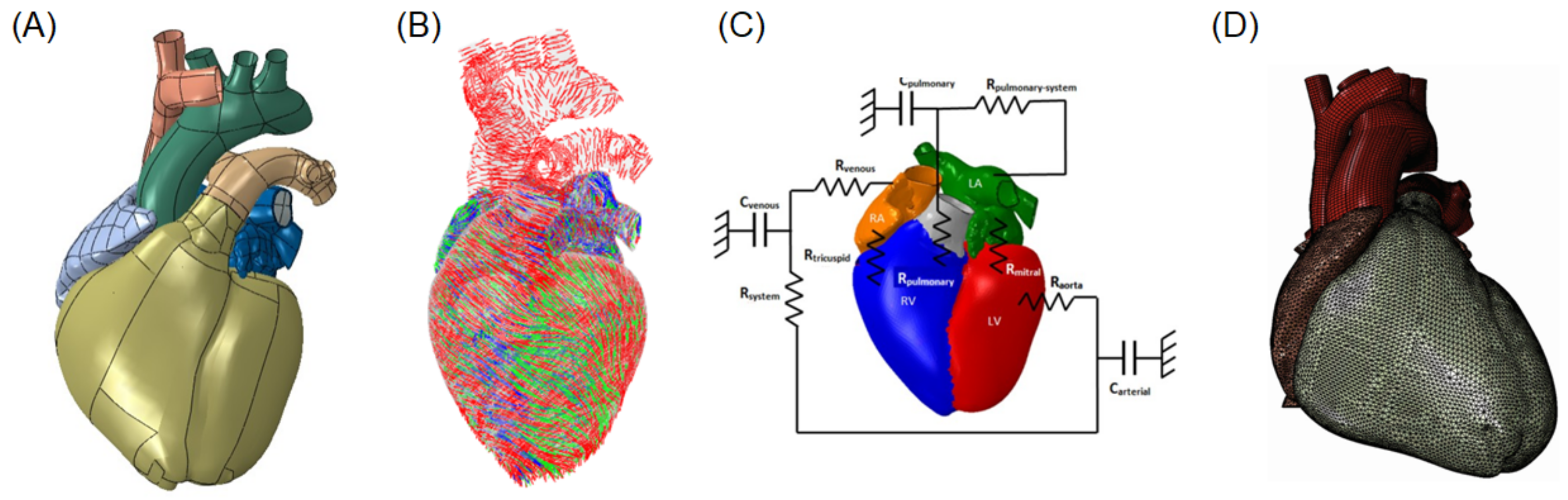 Bioengineering 08 00175 g002