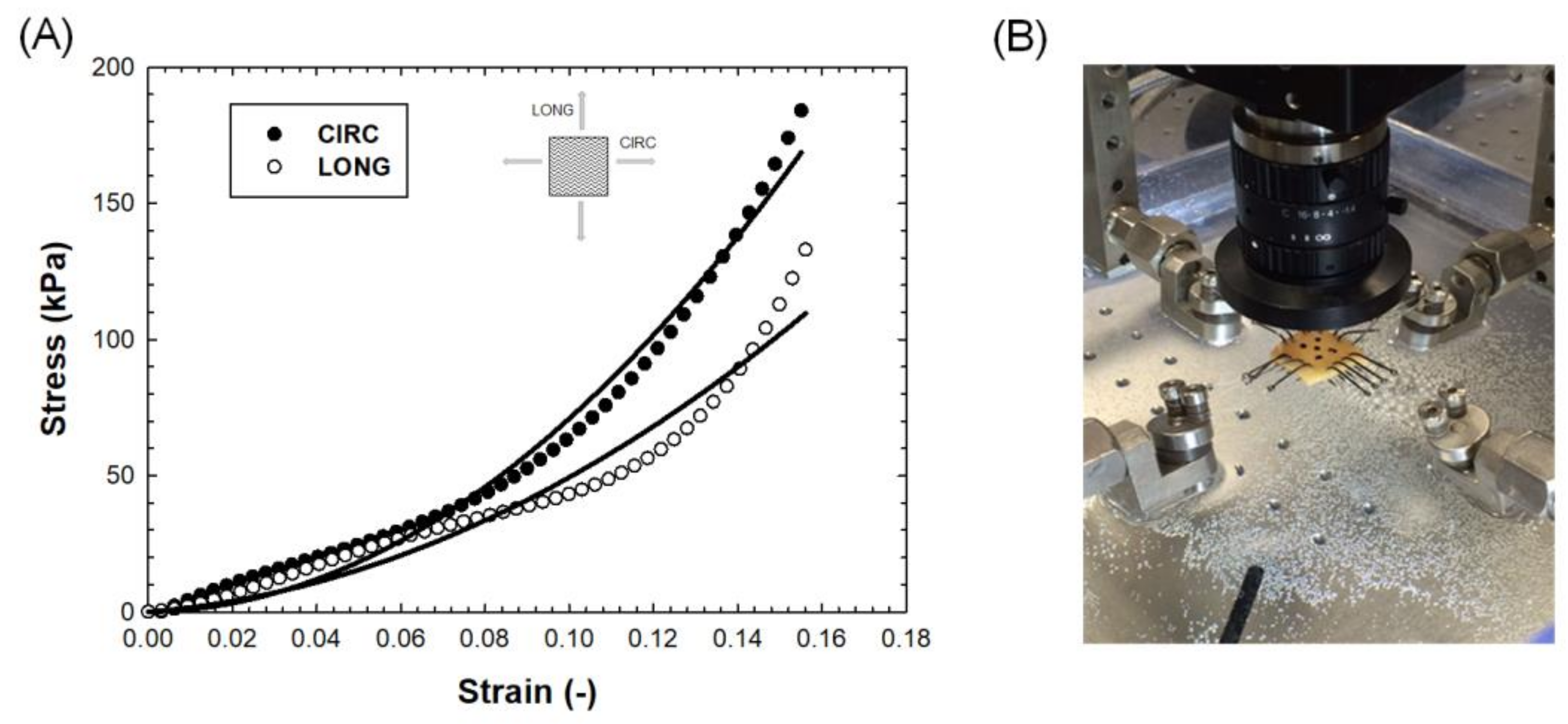Bioengineering 08 00175 g003