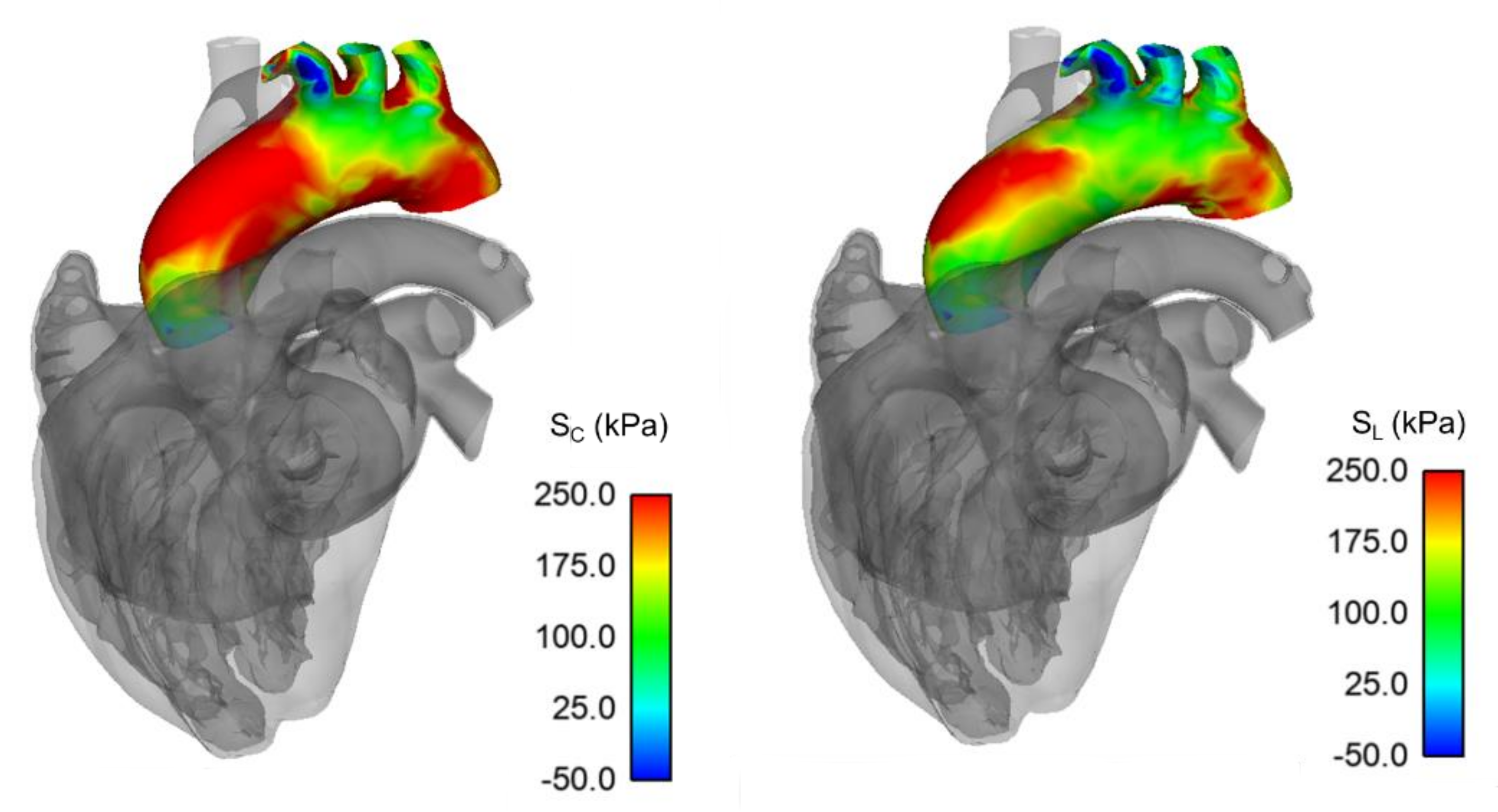 Bioengineering 08 00175 g004