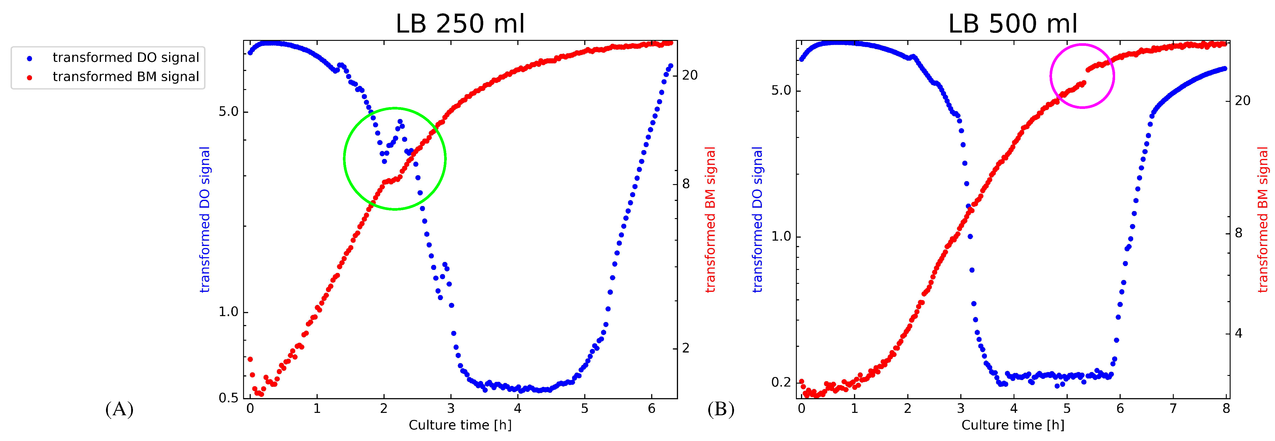 Bioengineering 08 00177 g001