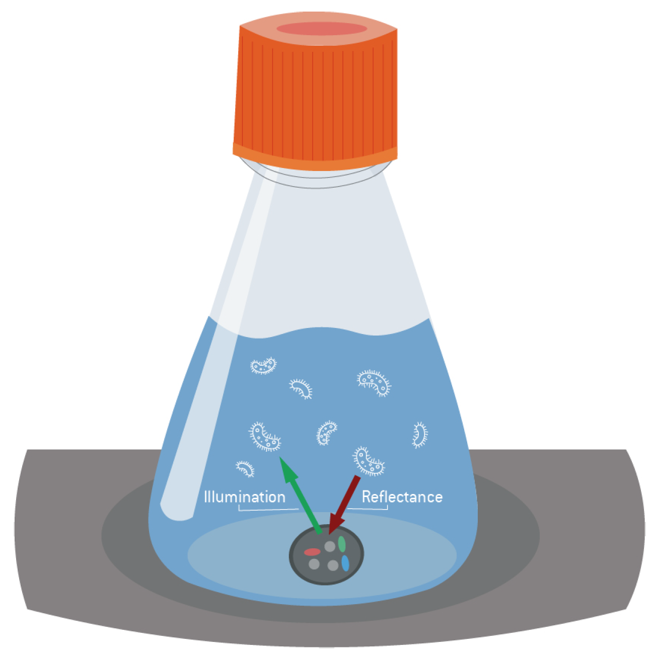 Bioengineering 08 00177 g002