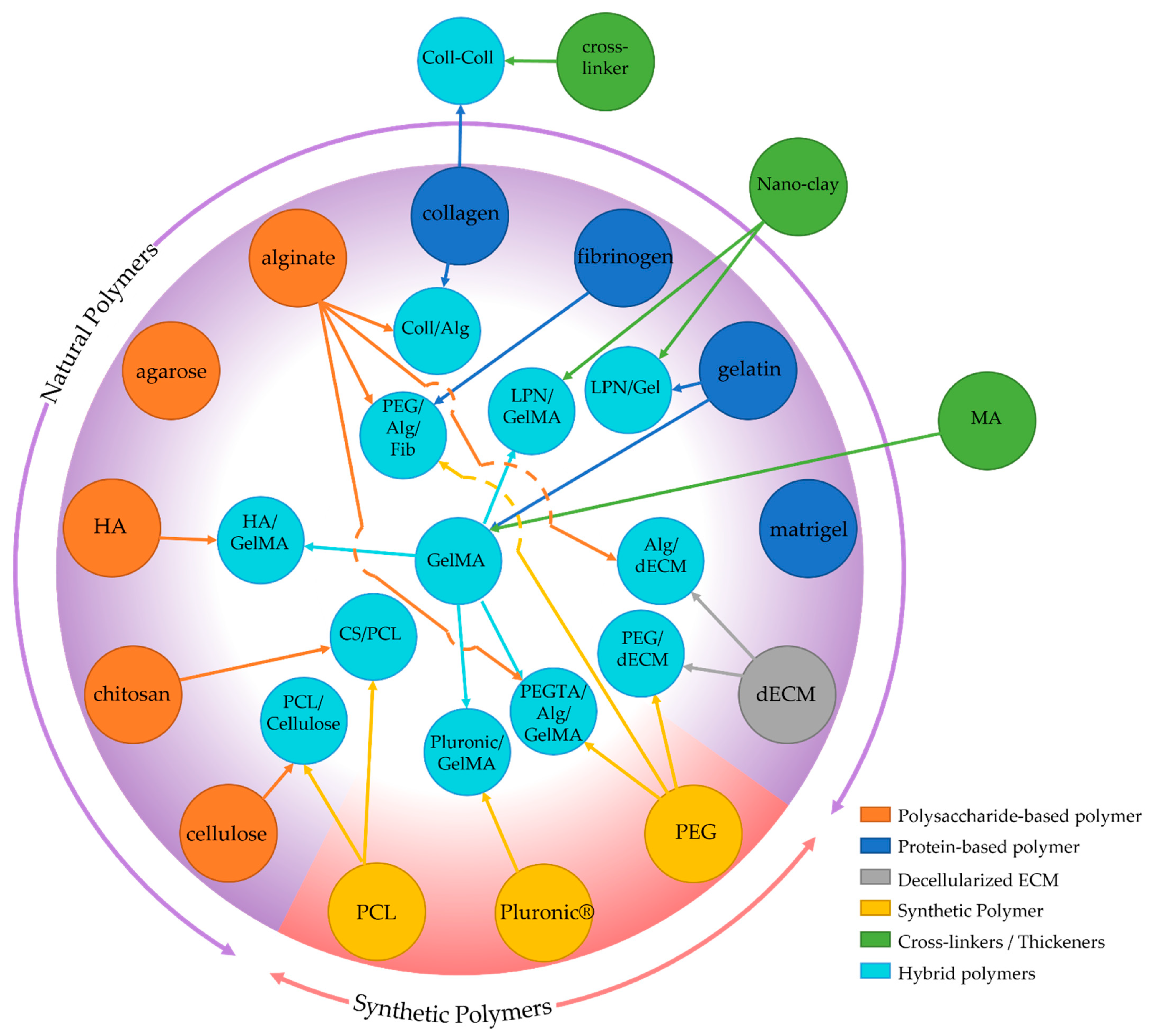Bioengineering 08 00178 g003
