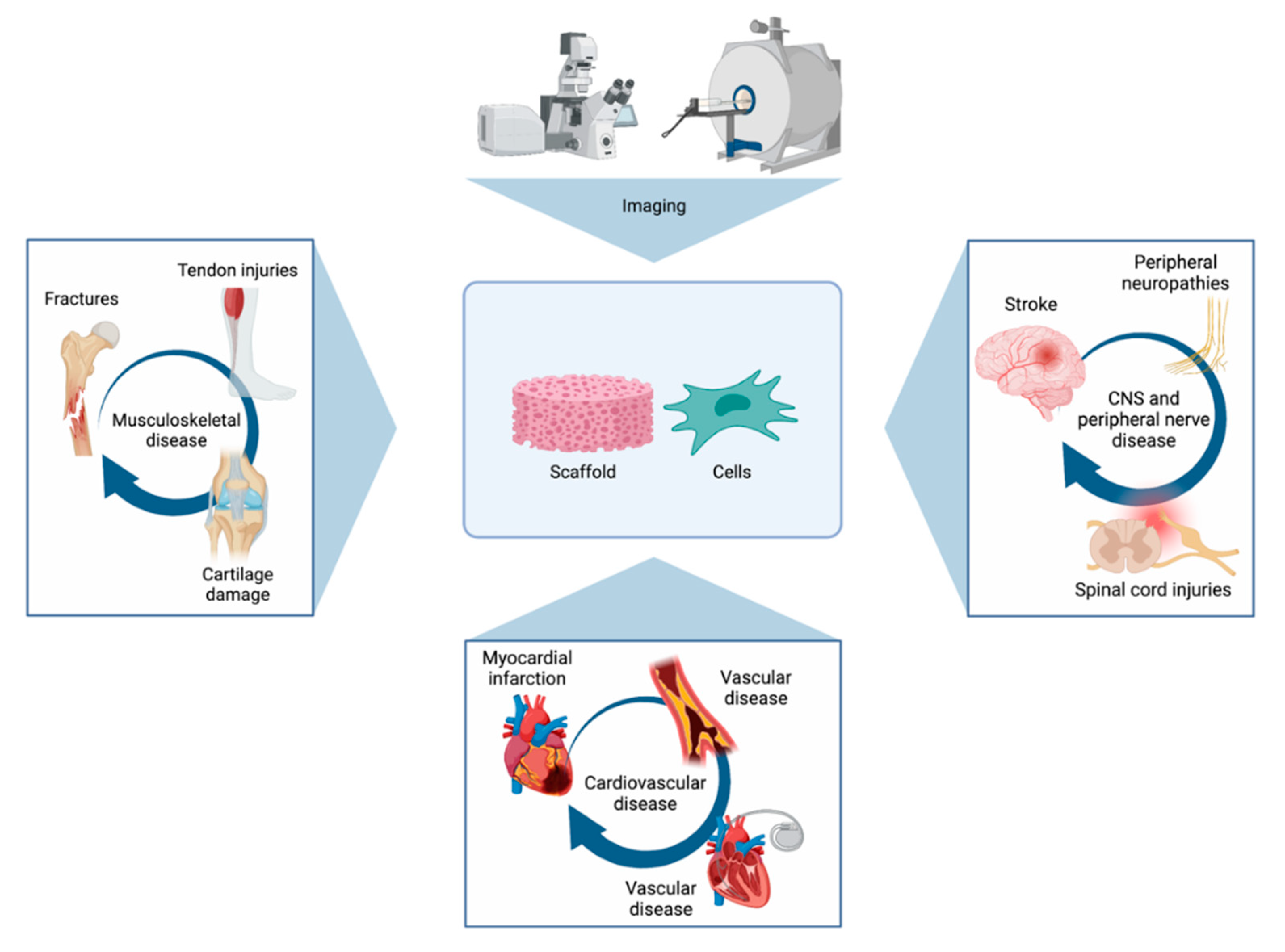 Bioengineering 08 00182 g004