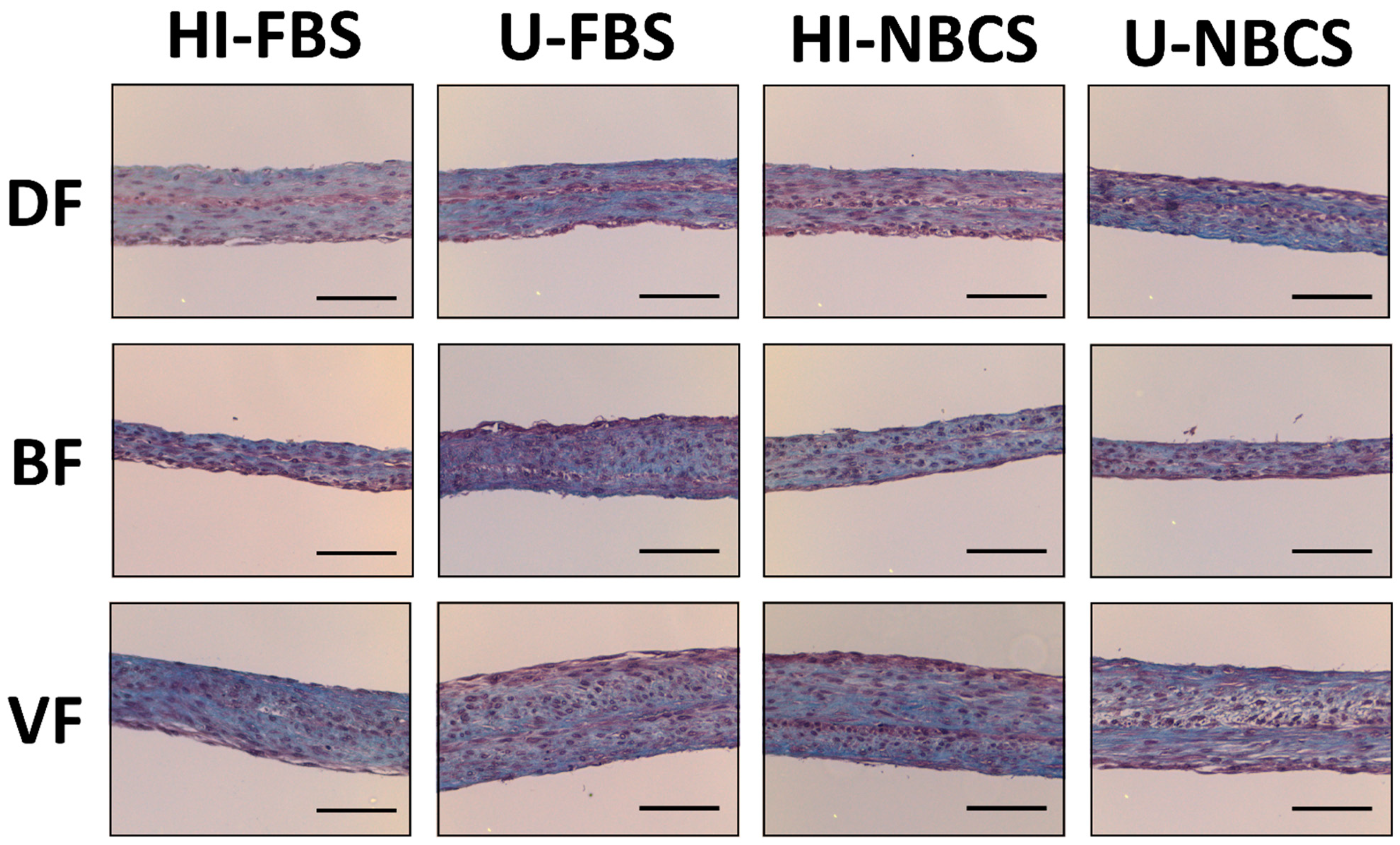 Bioengineering 08 00184 g004
