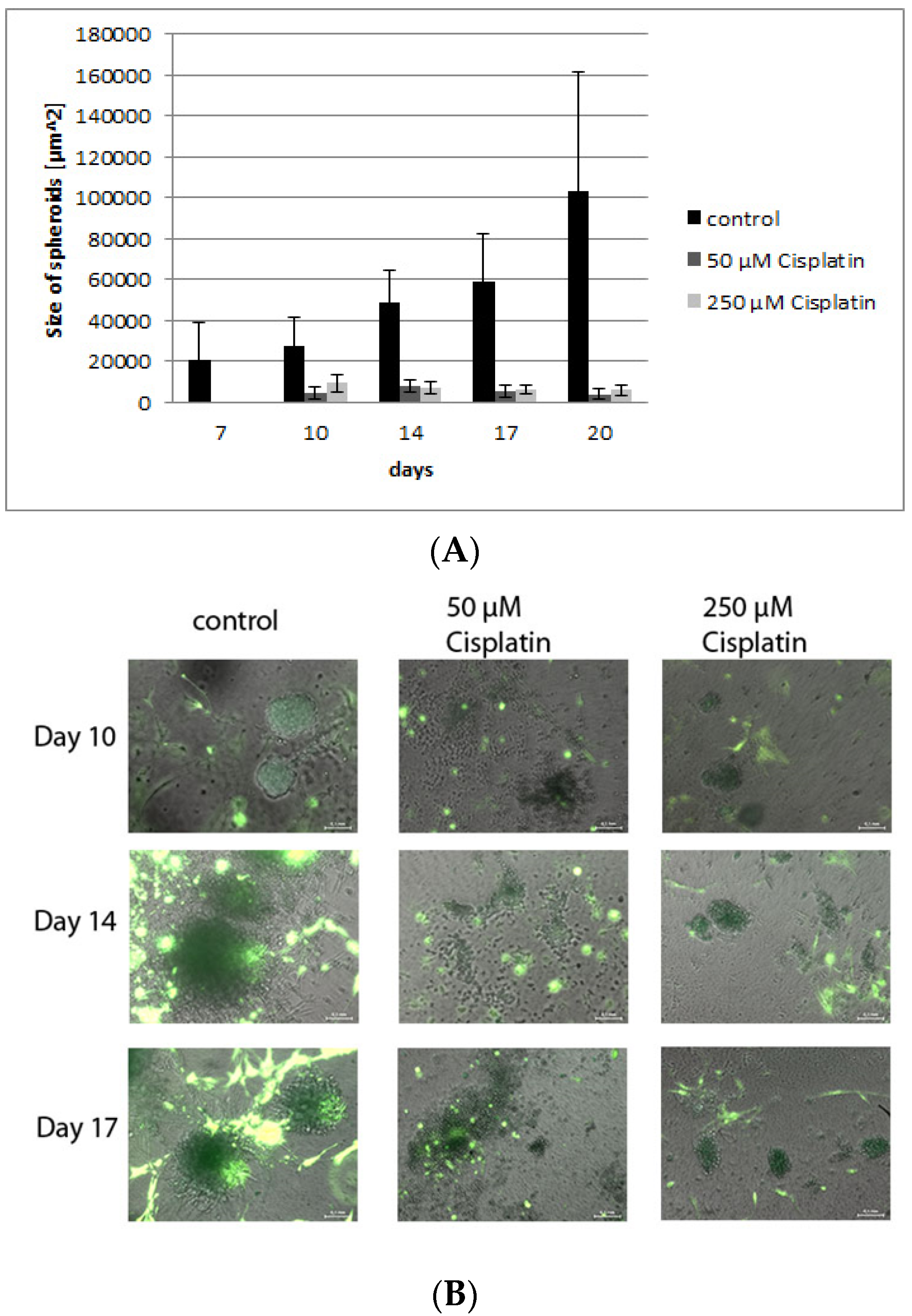 Bioengineering 08 00186 g009