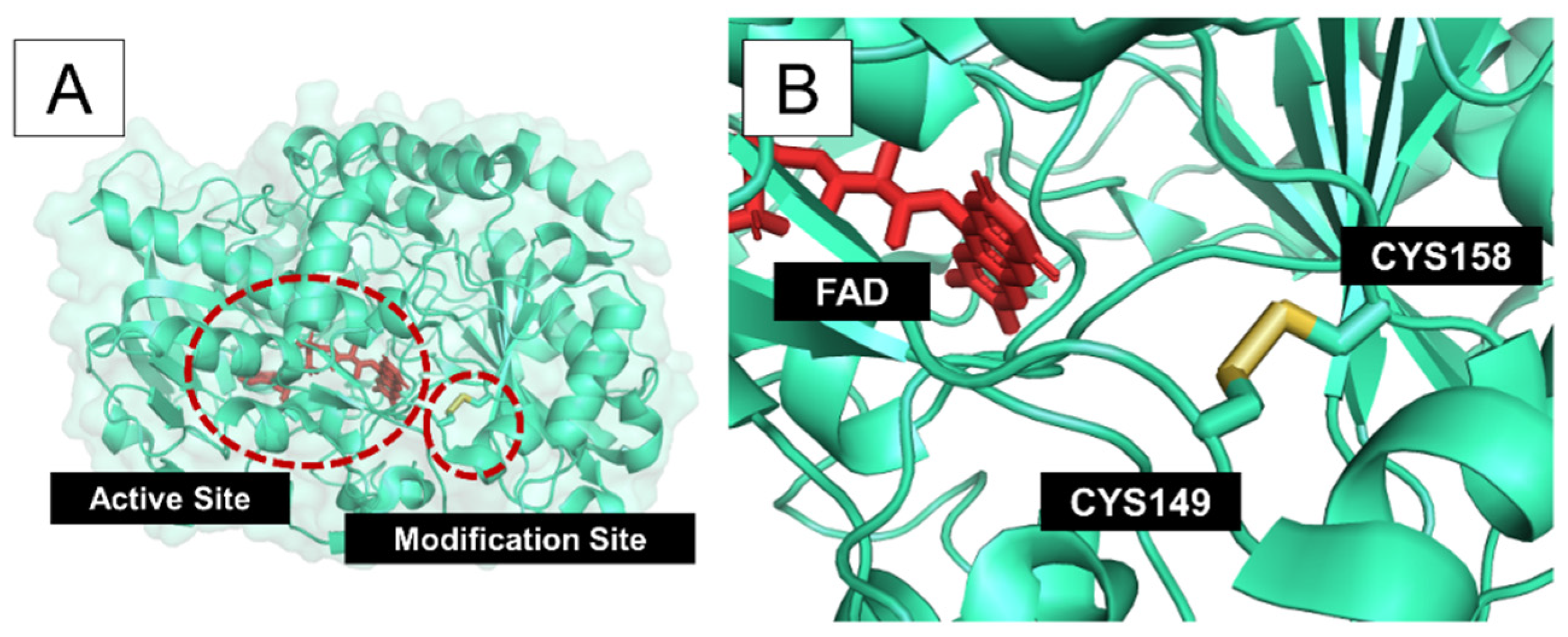 Bioengineering 08 00188 g003