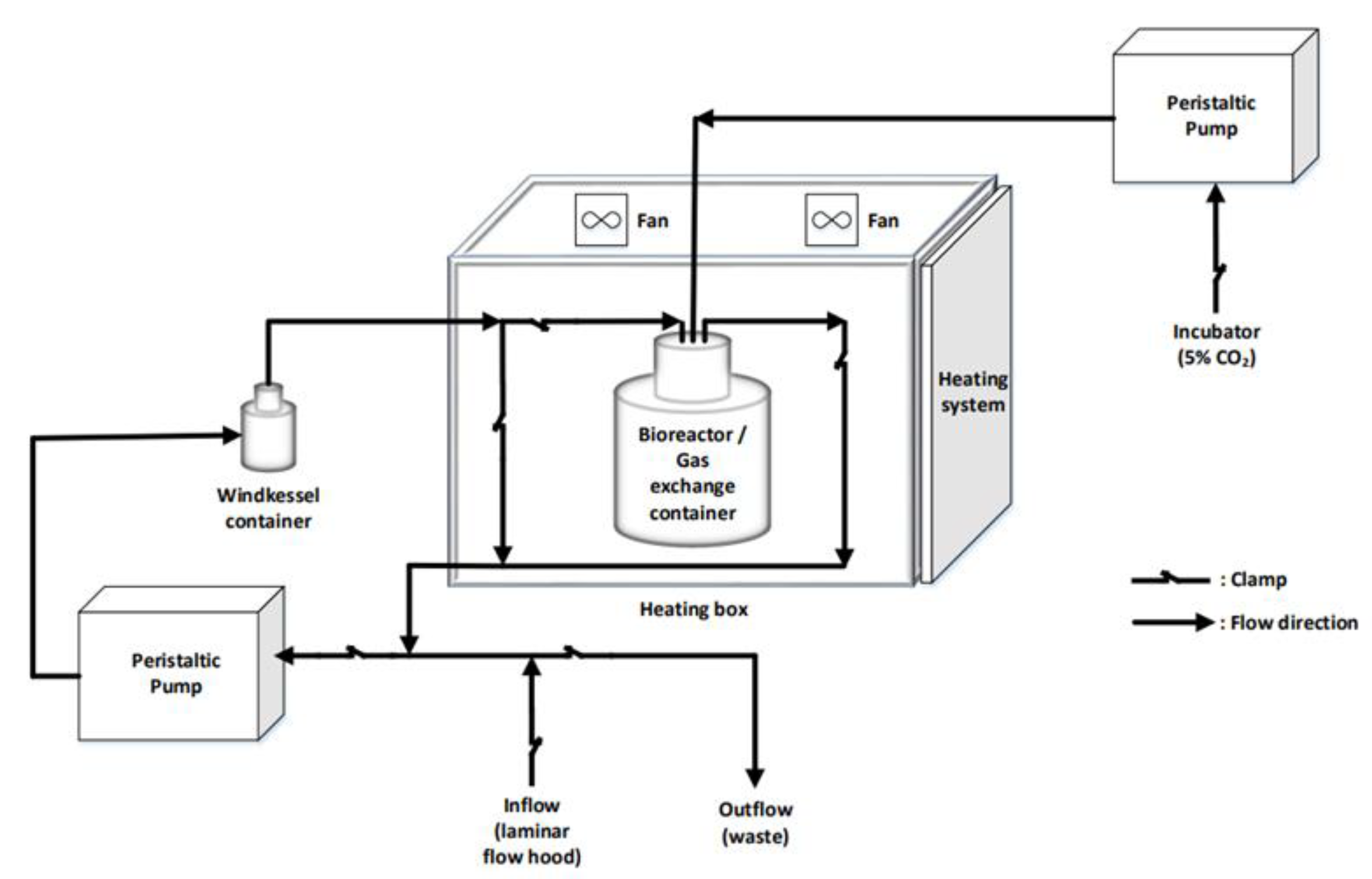 Bioengineering 08 00189 g001