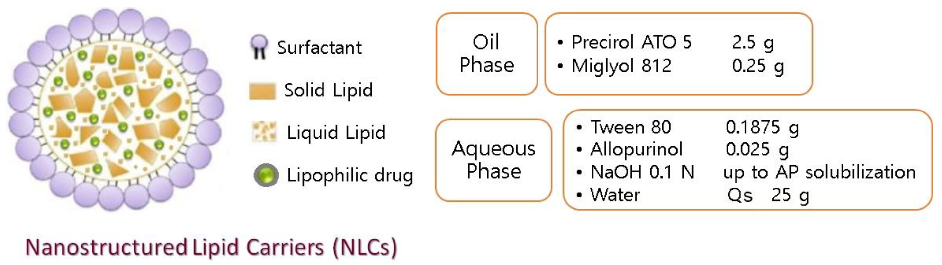 Bioengineering 08 00192 g001