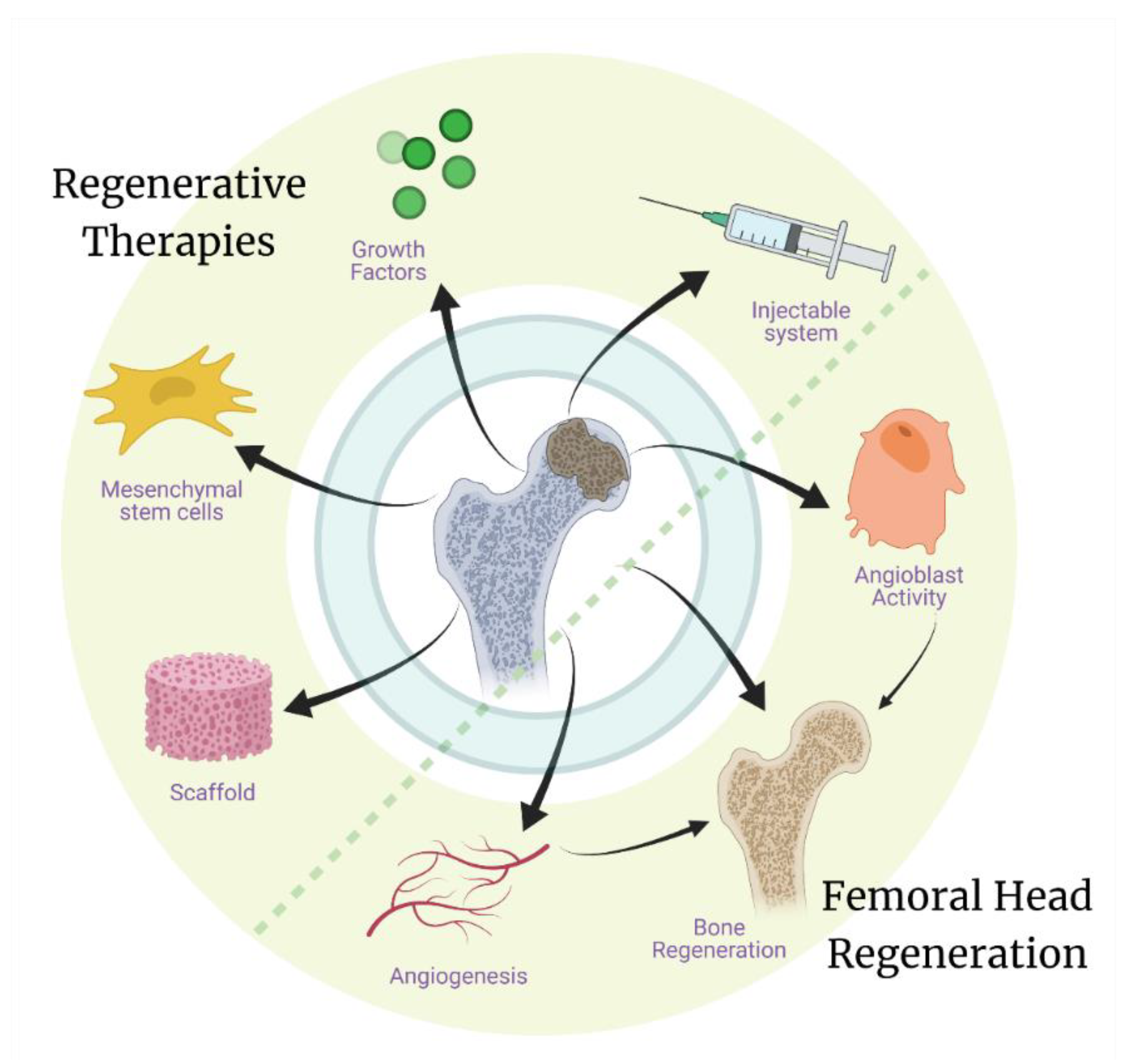 Bioengineering 08 00200 g004