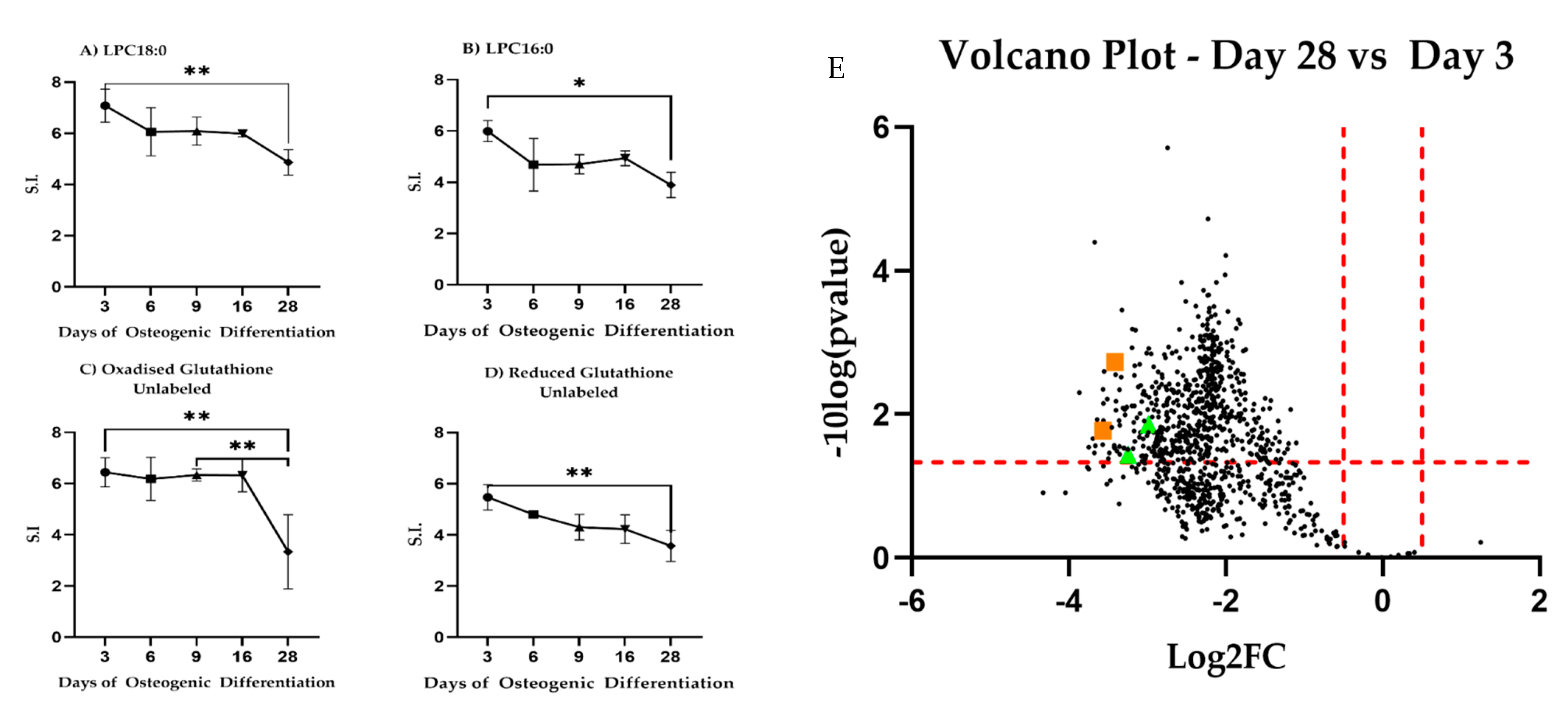 Bioengineering 08 00208 g006