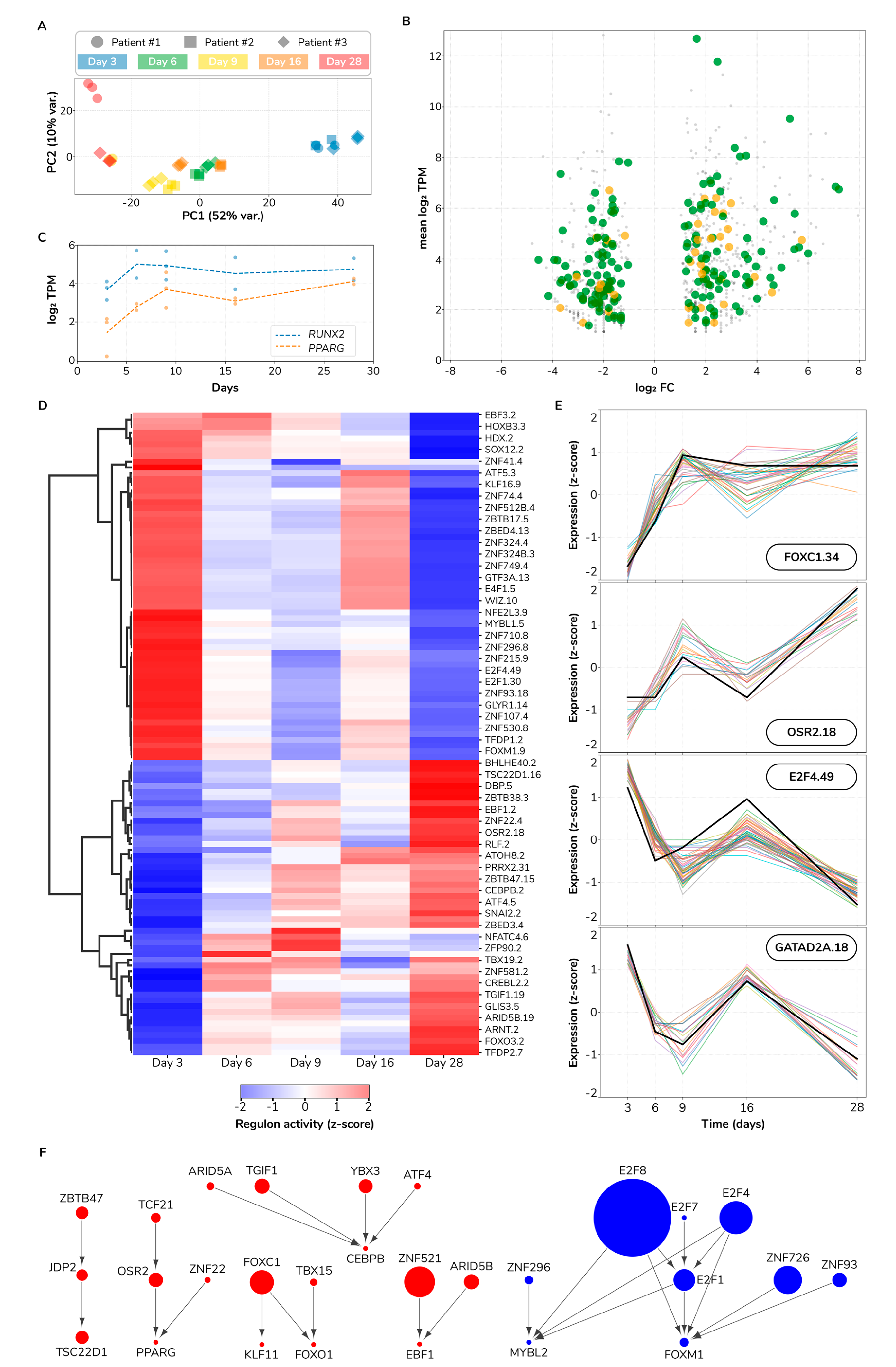 Bioengineering 08 00208 g008