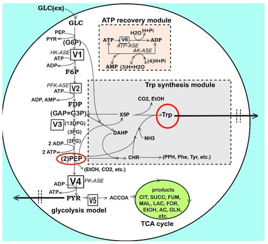 Bioengineering 08 00210 g003