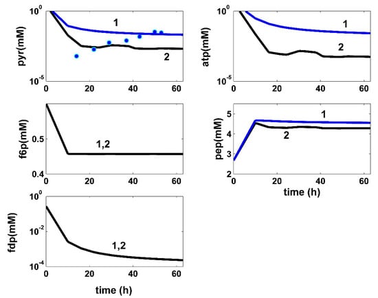 Bioengineering 08 00210 g005