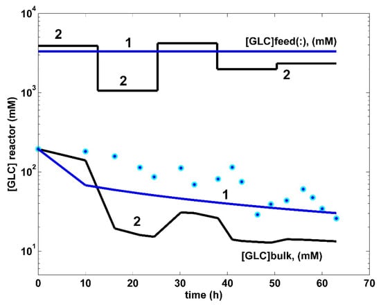 Bioengineering 08 00210 g007