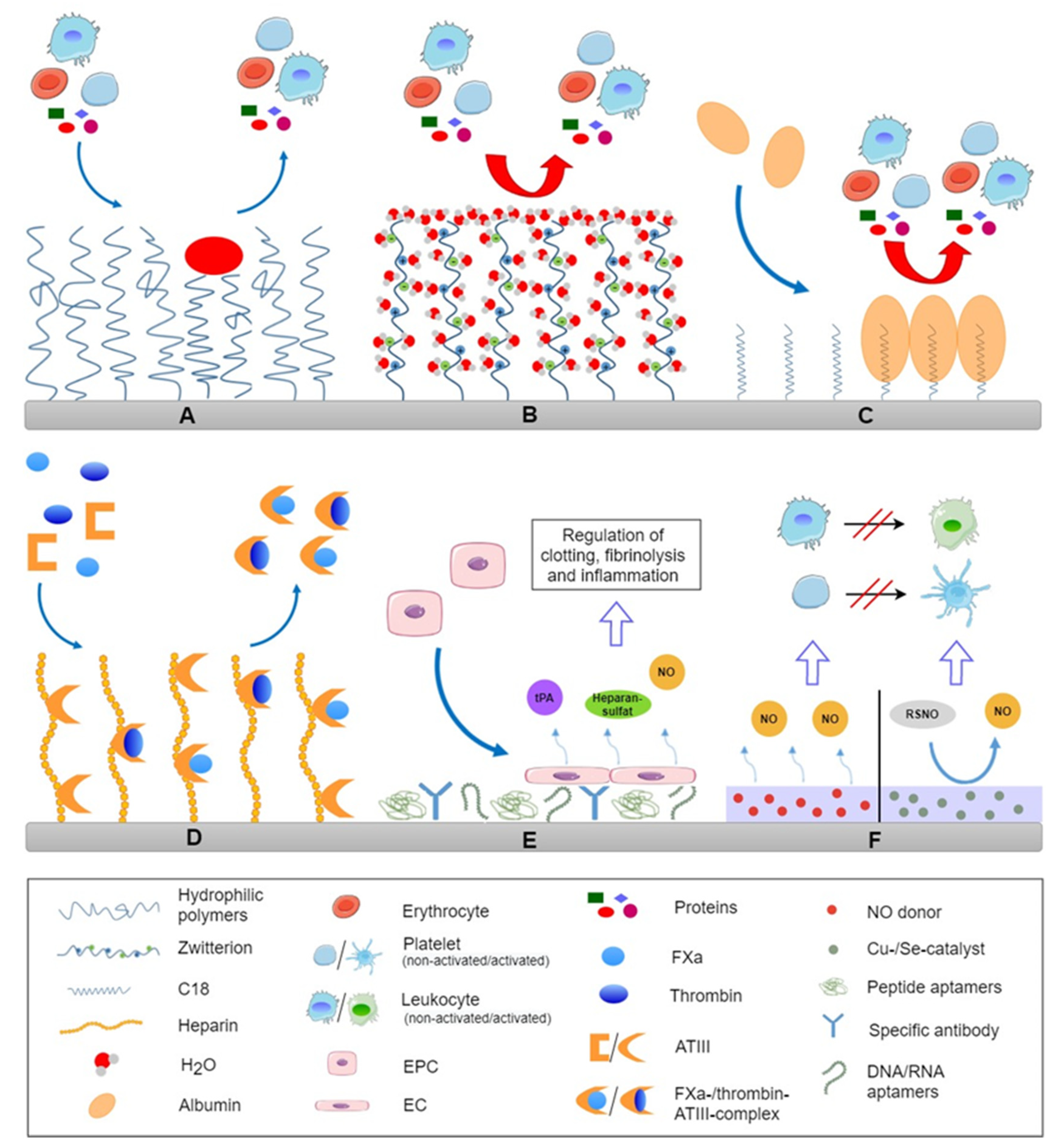 Bioengineering 08 00215 g002 Bioengineering 08 00215 g002