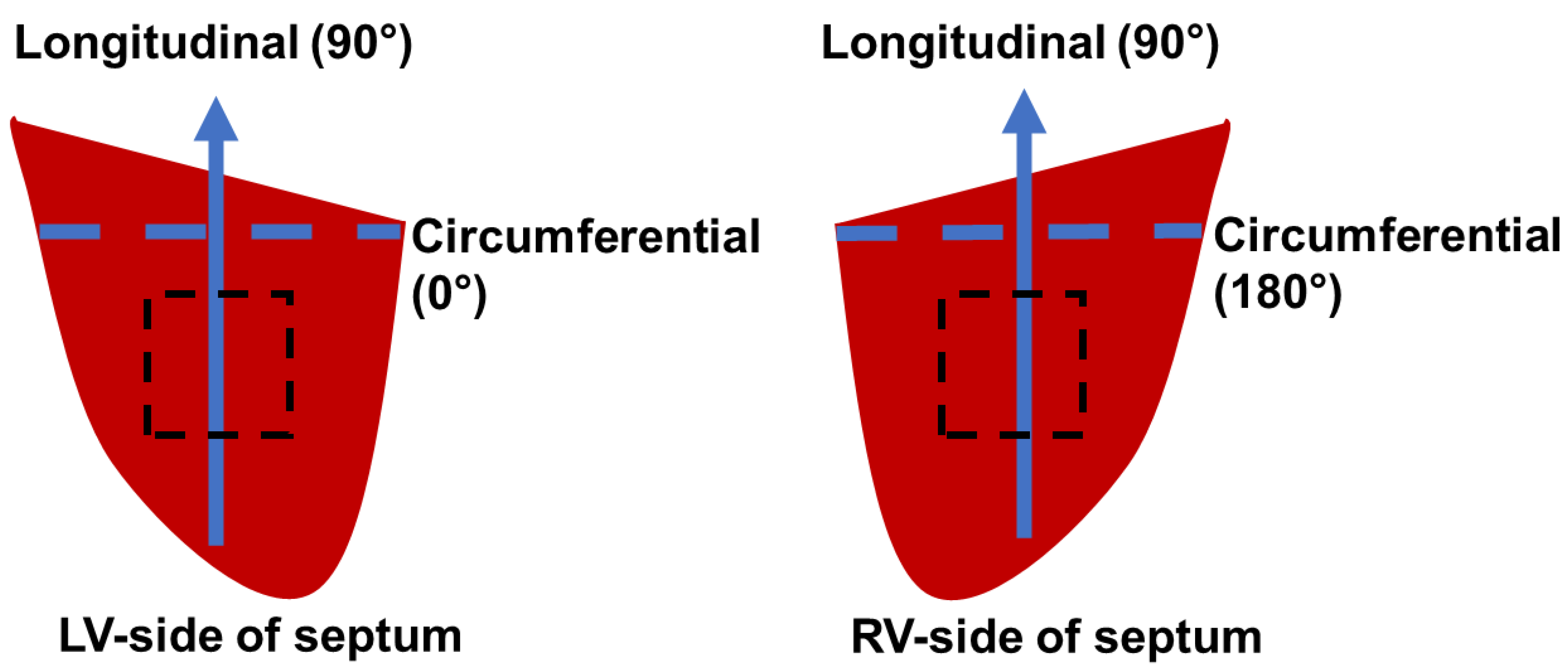 Bioengineering 08 00216 g001