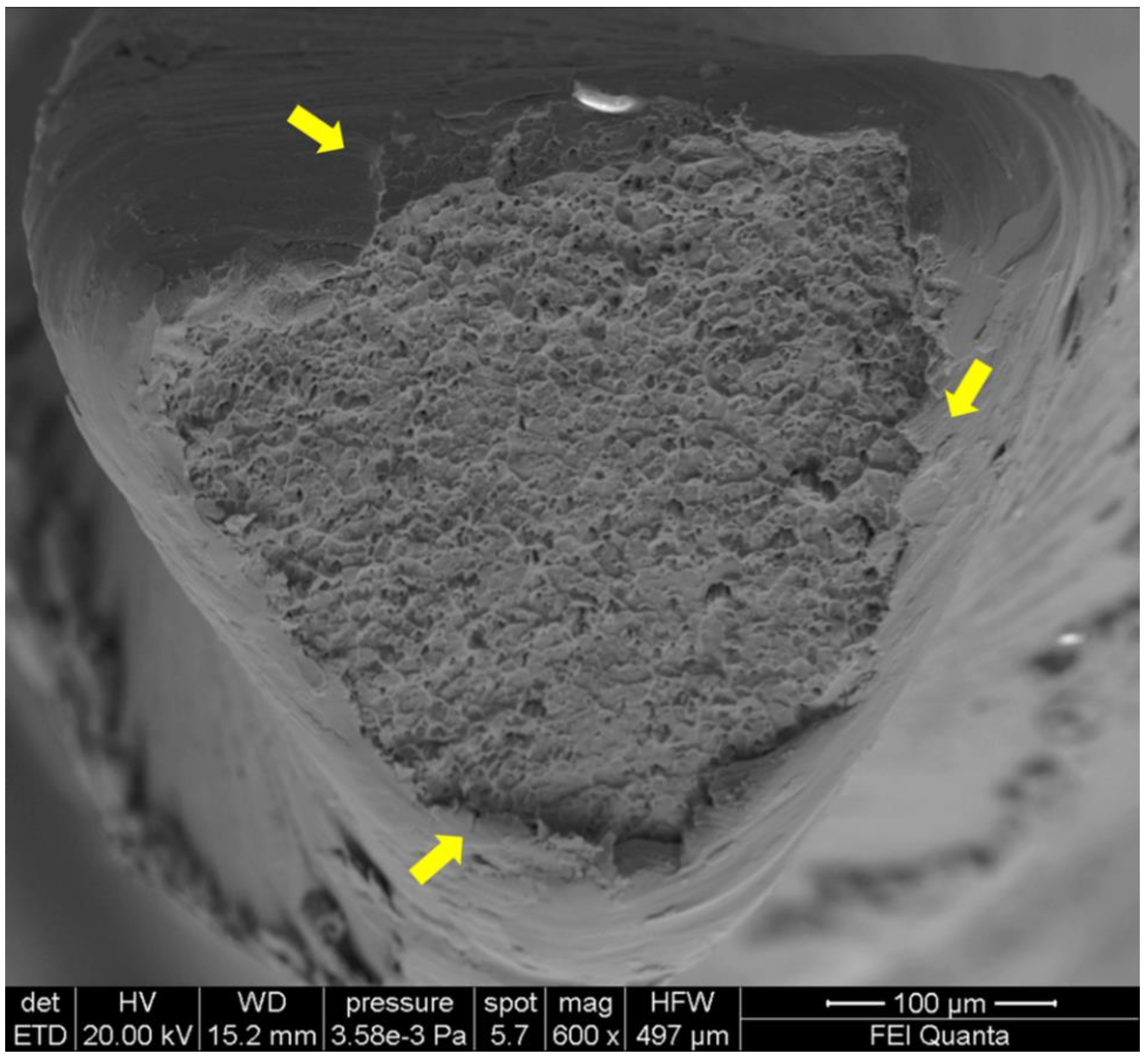 Bioengineering 08 00218 g004