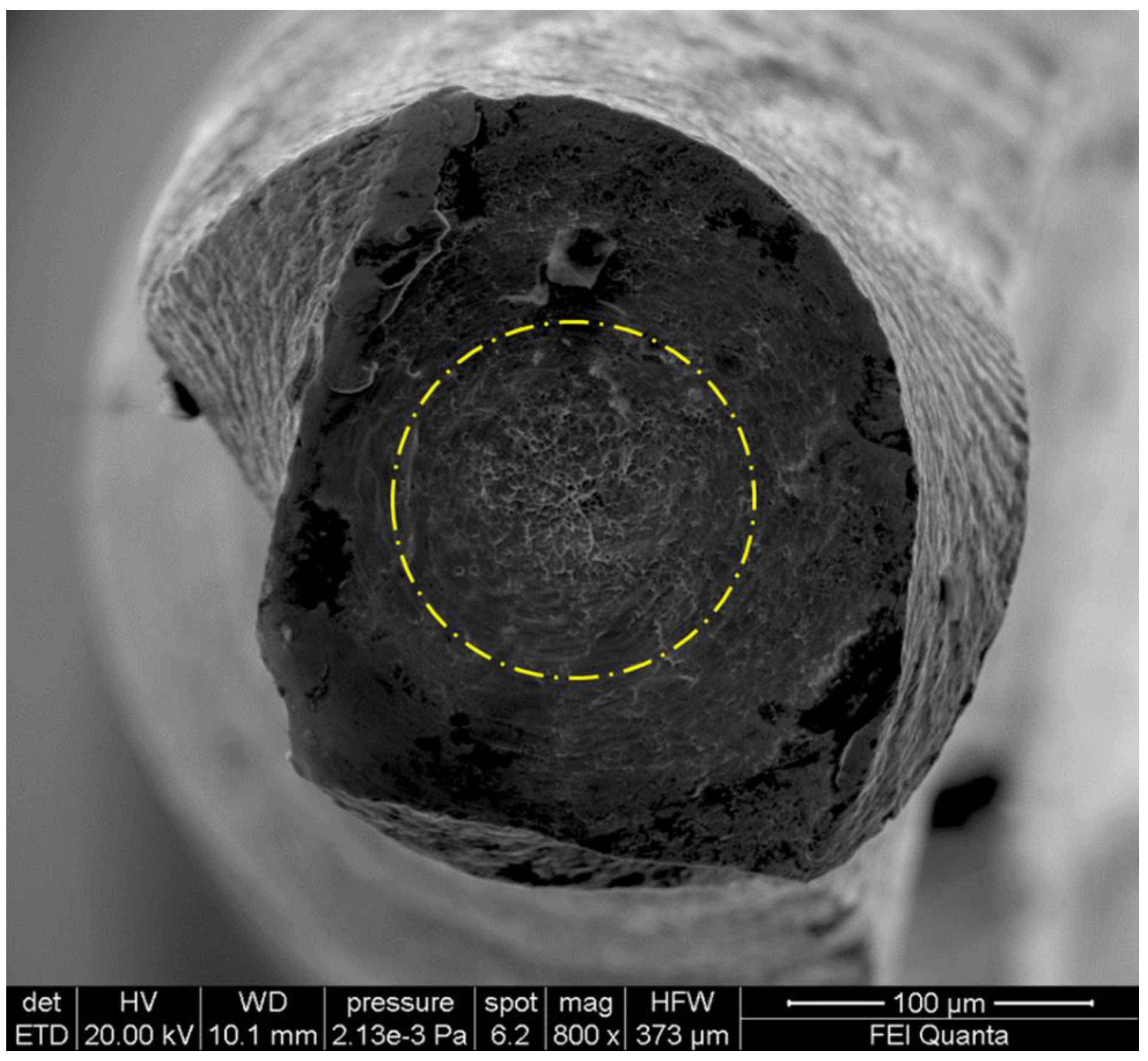 Bioengineering 08 00218 g005