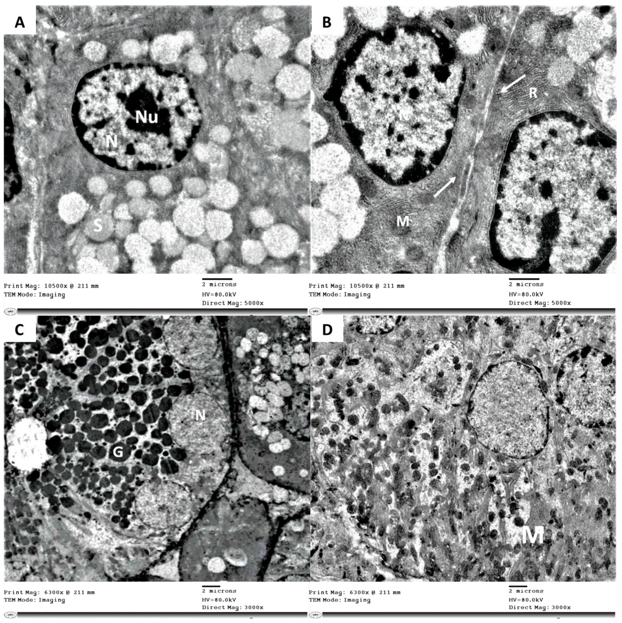 Bioengineering 08 00219 g003