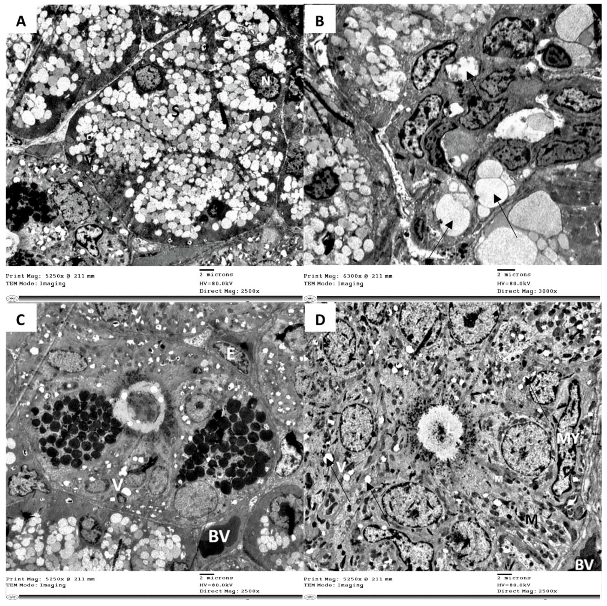 Bioengineering 08 00219 g004