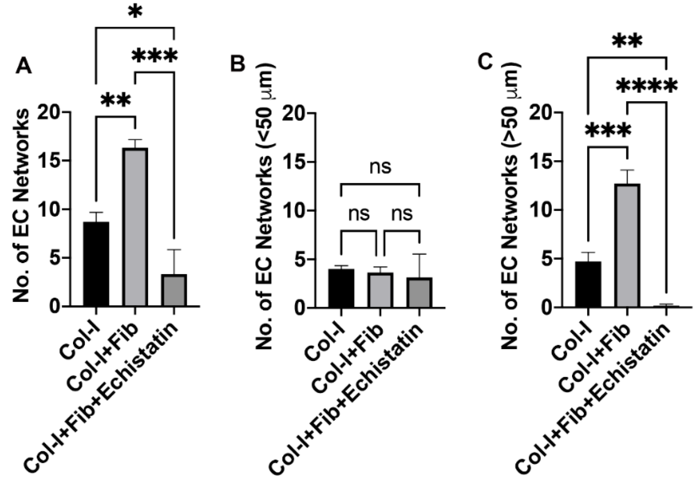 Bioengineering 08 00223 g004