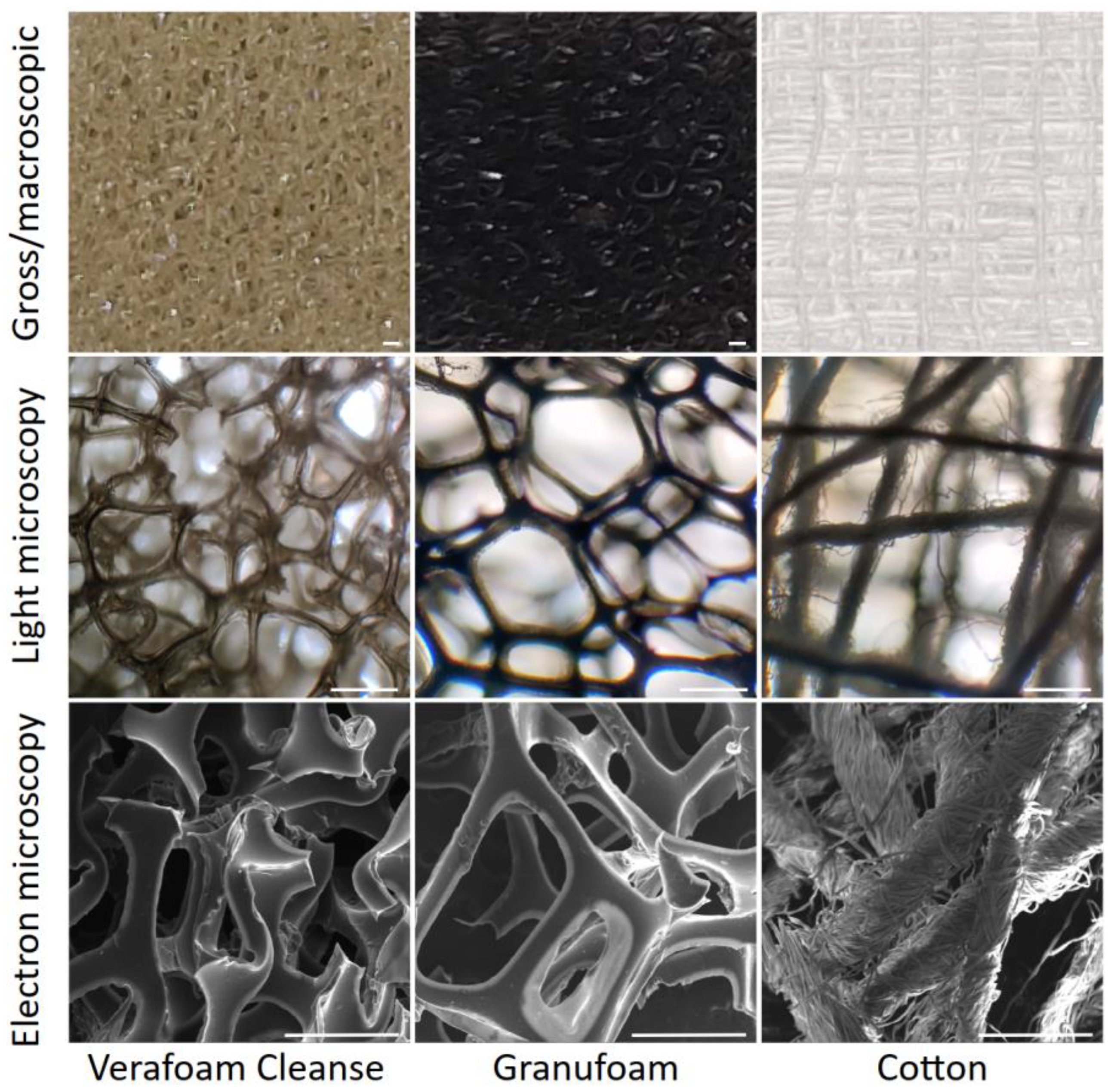 Bioengineering 09 00002 g001