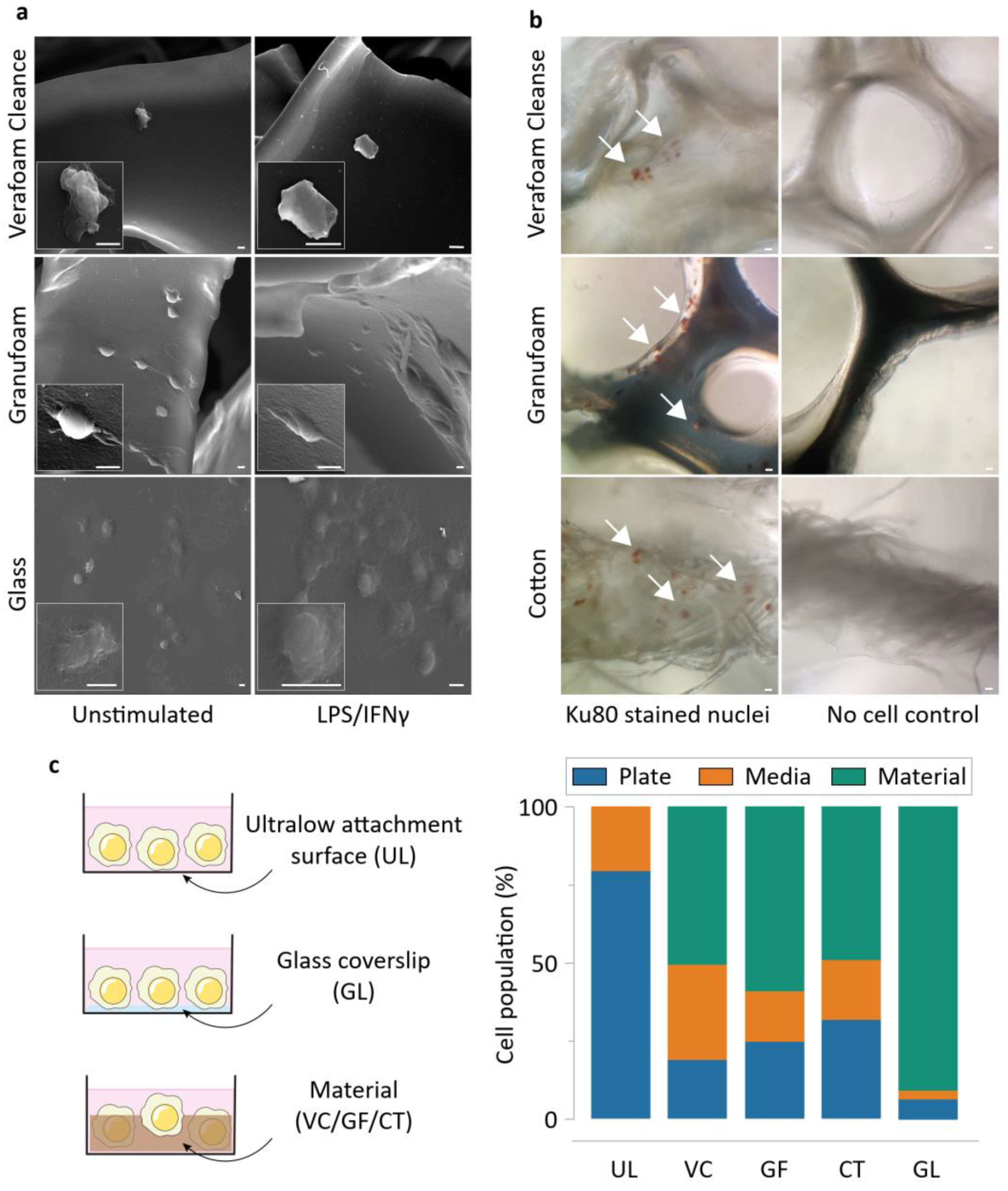 Bioengineering 09 00002 g002
