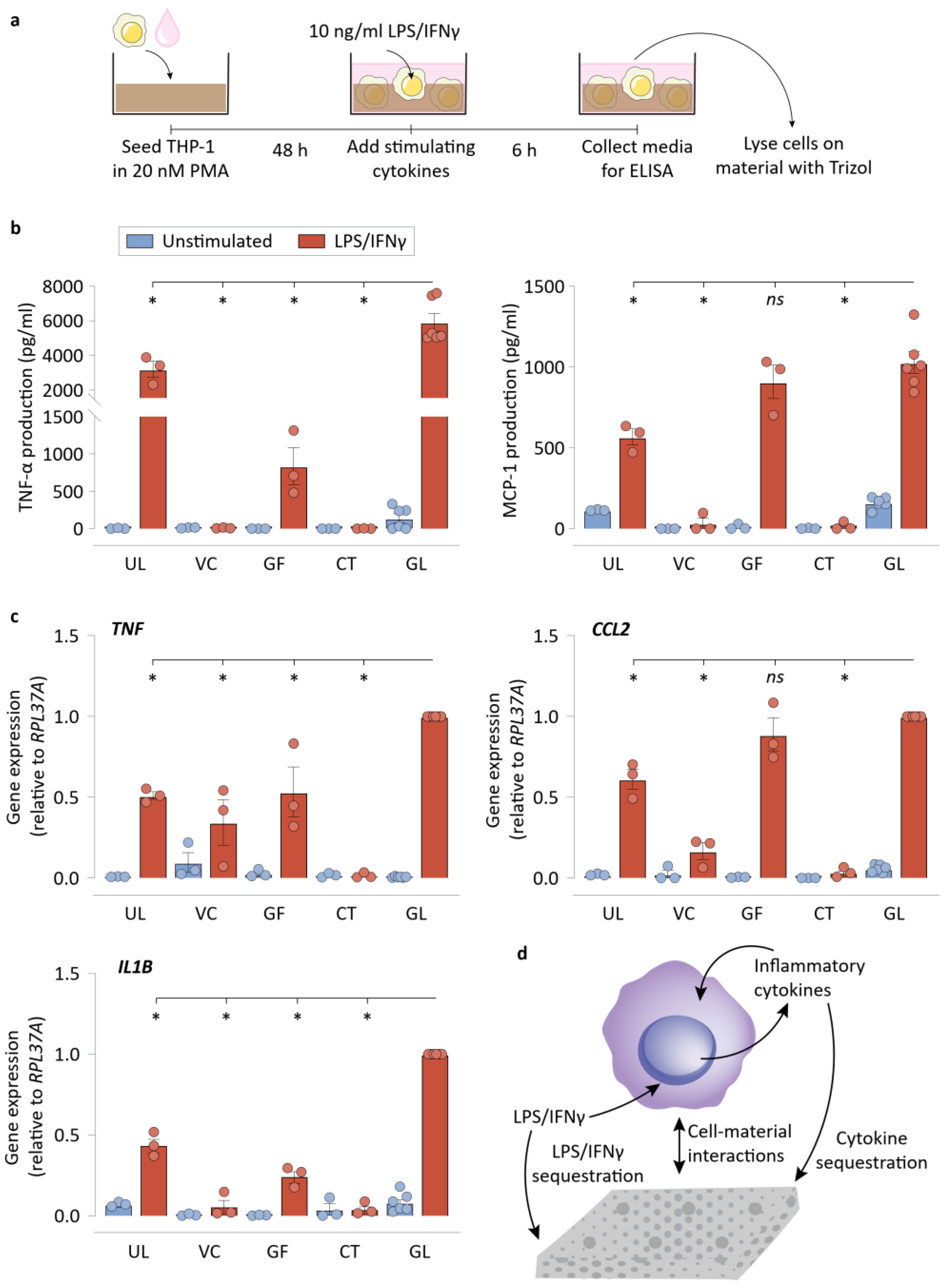 Bioengineering 09 00002 g003
