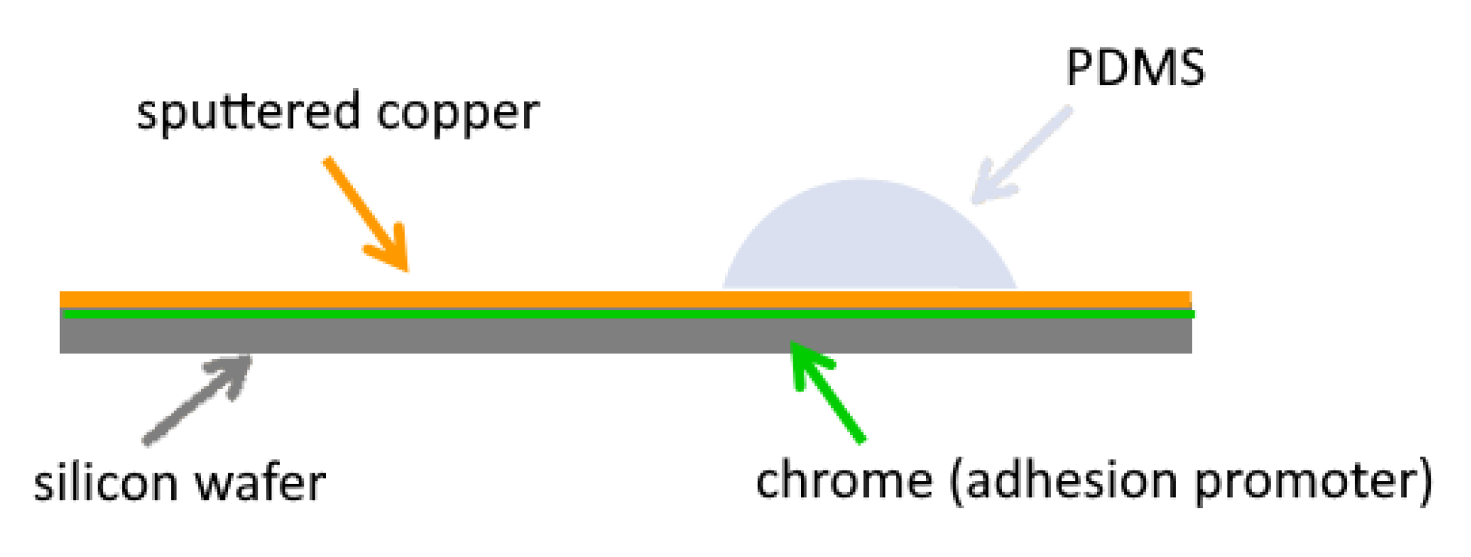 Bioengineering 09 00010 g002