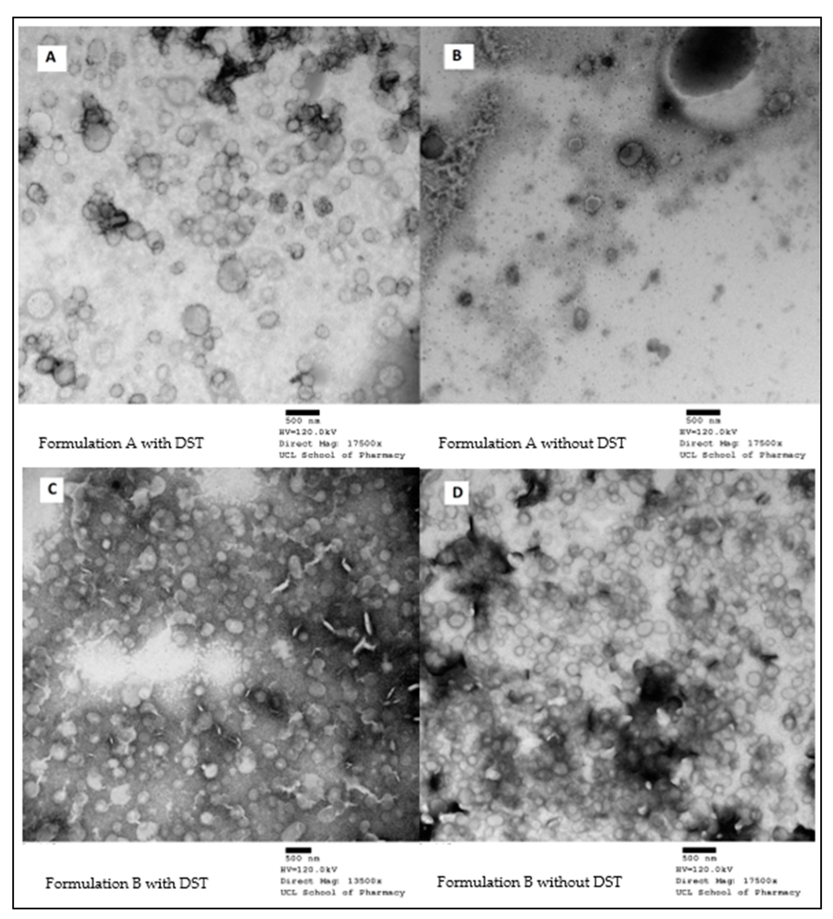 Bioengineering 09 00011 g002
