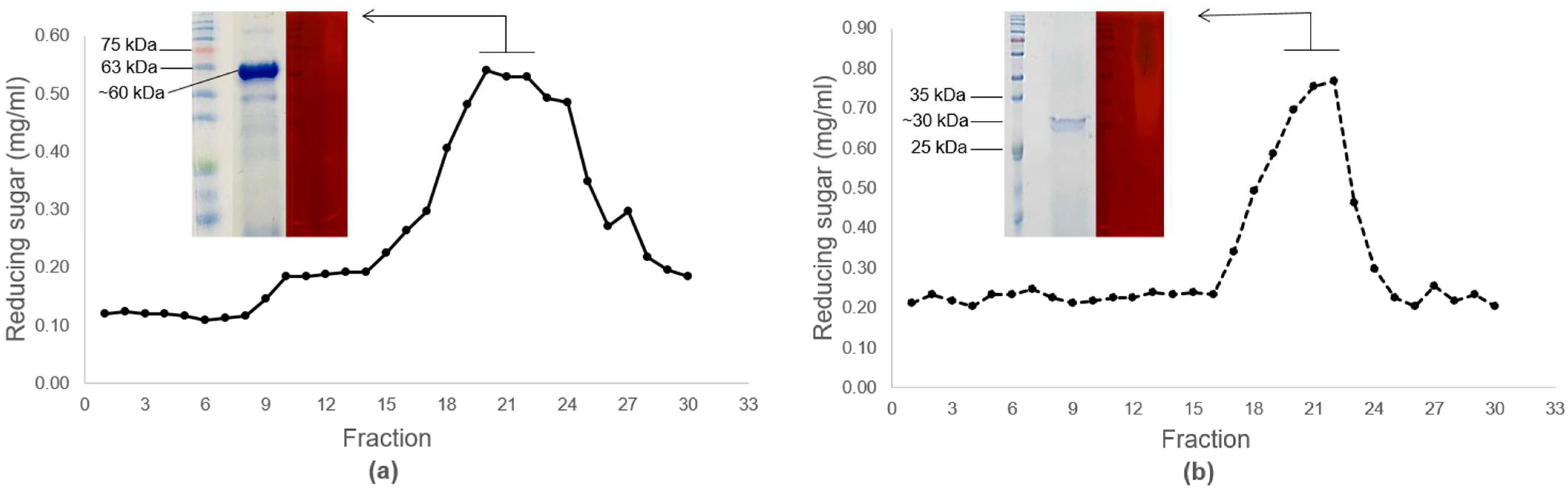 Bioengineering 09 00017 g003