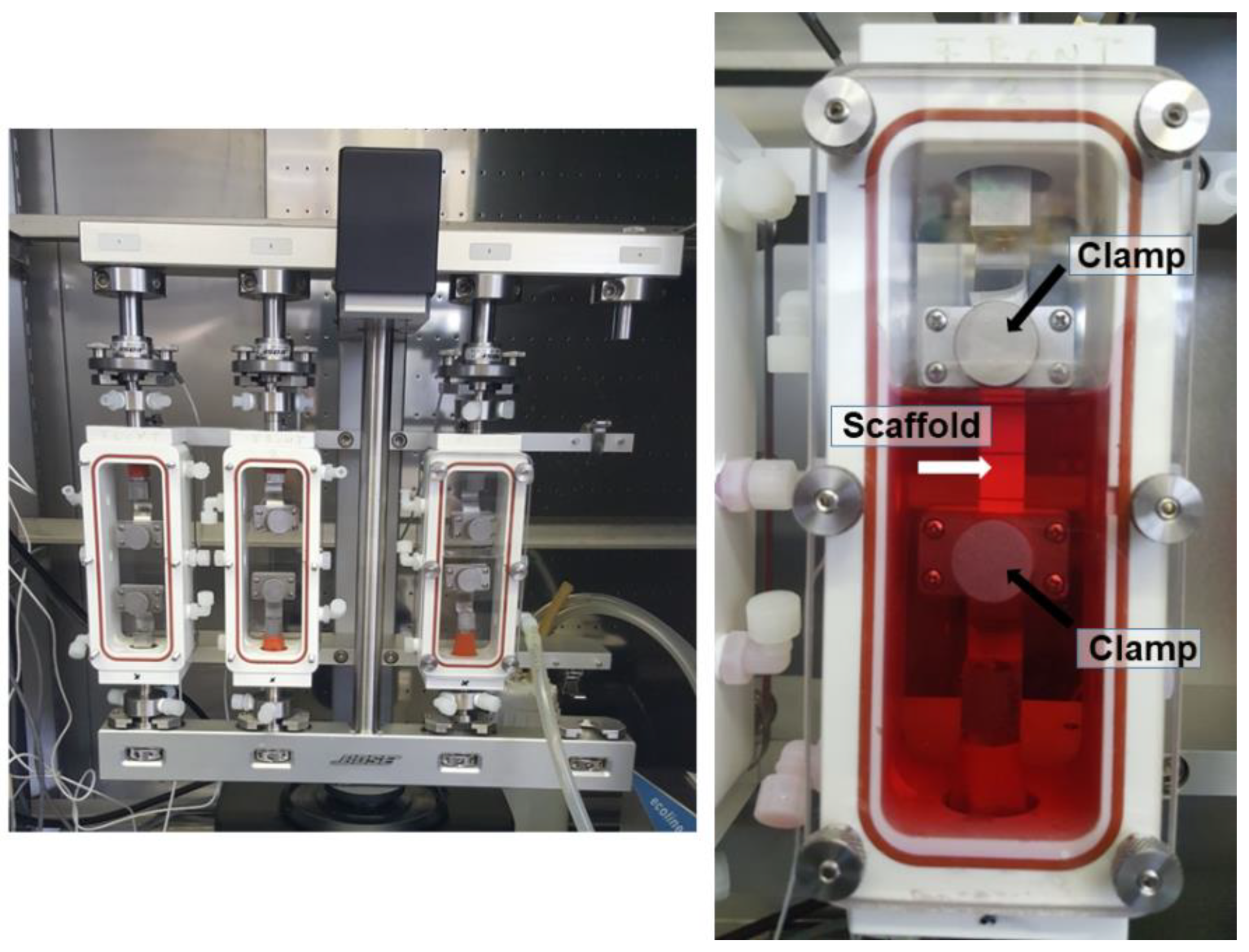 Bioengineering 09 00021 g001