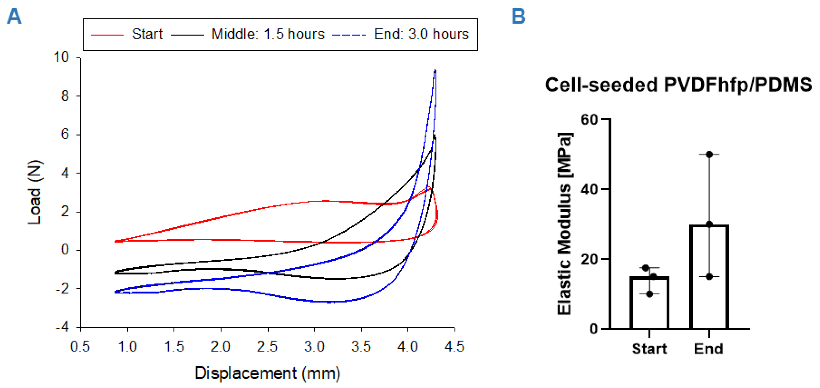 Bioengineering 09 00021 g004