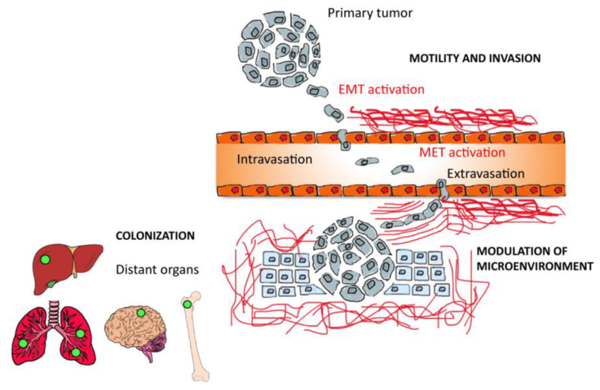 Bioengineering 09 00028 g001