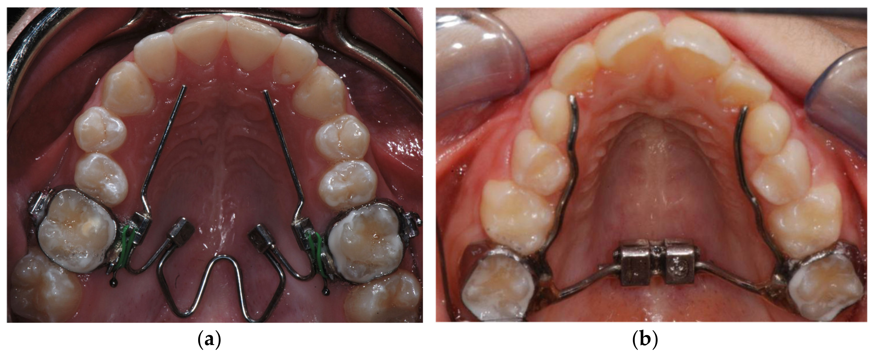 Bioengineering 09 00031 g001