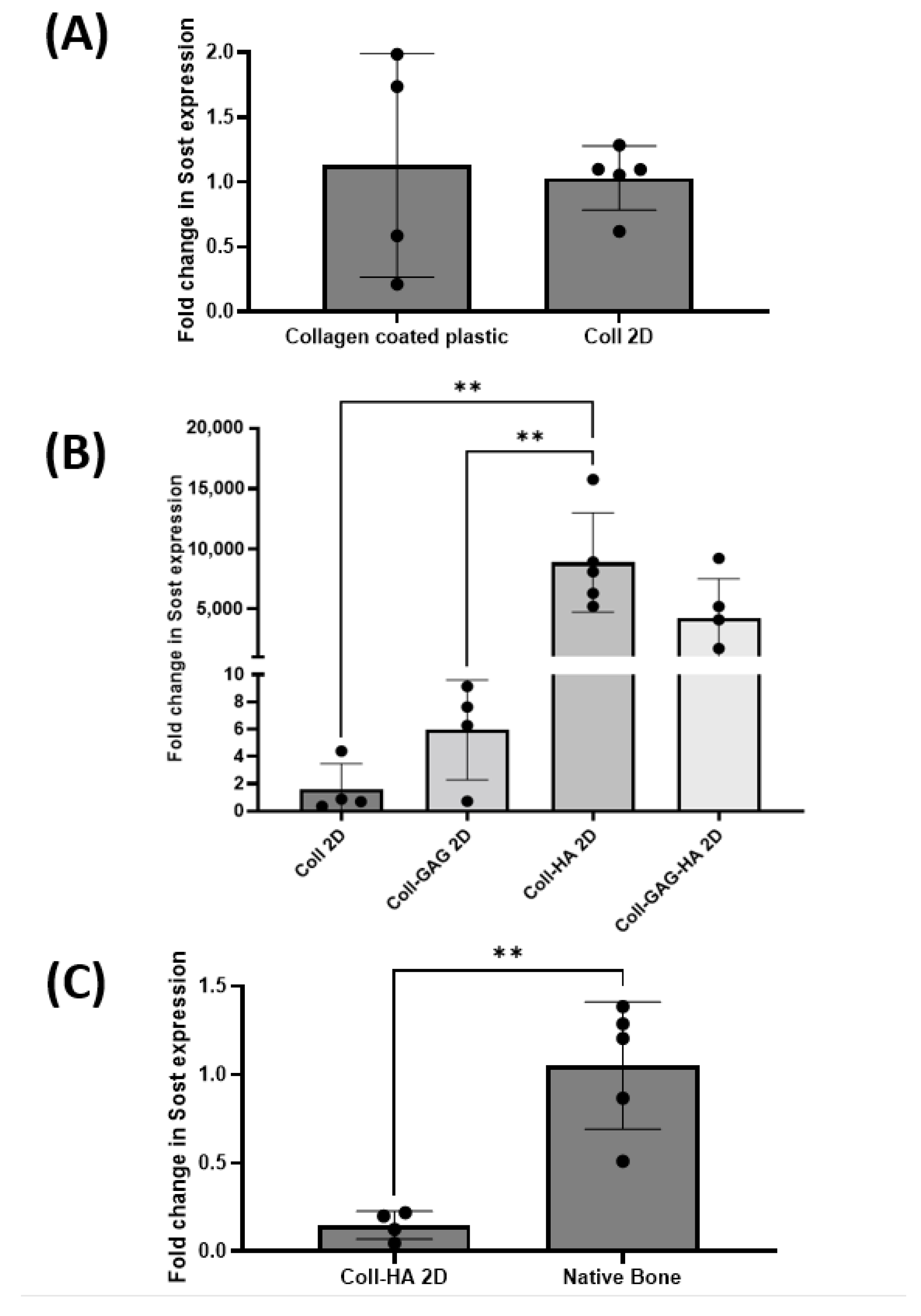 Bioengineering 09 00035 g003