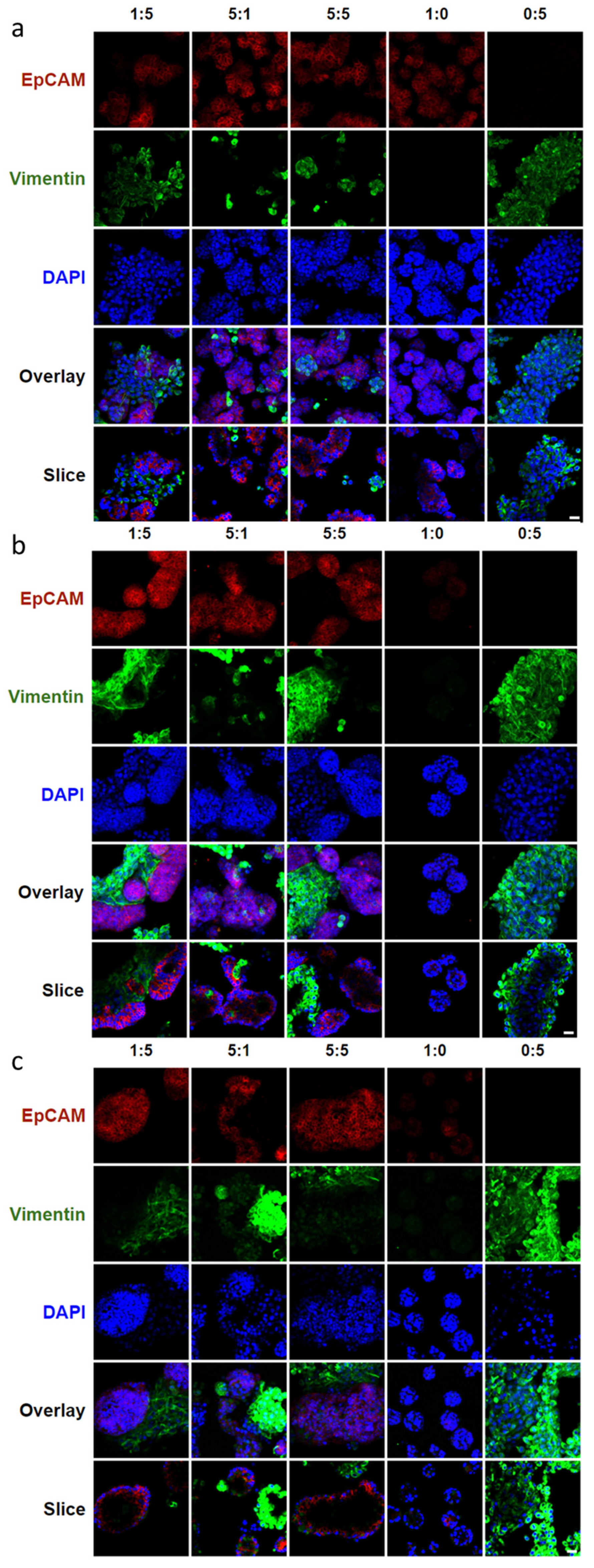 Bioengineering 09 00038 g003