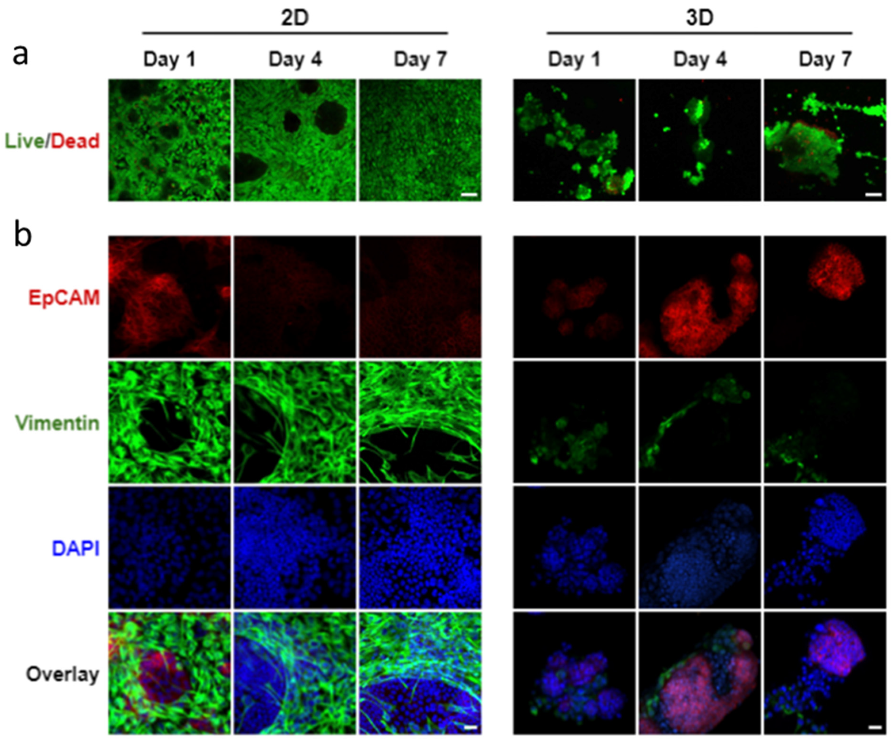 Bioengineering 09 00038 g005