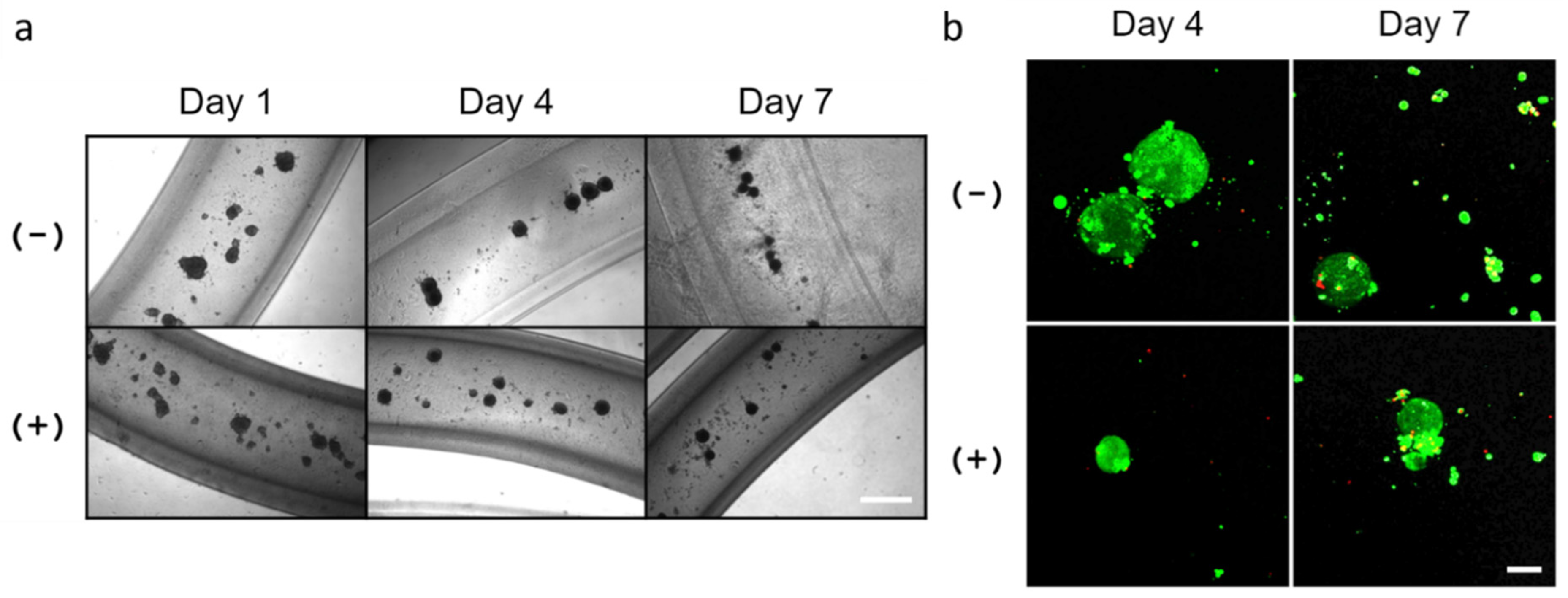 Bioengineering 09 00038 g007