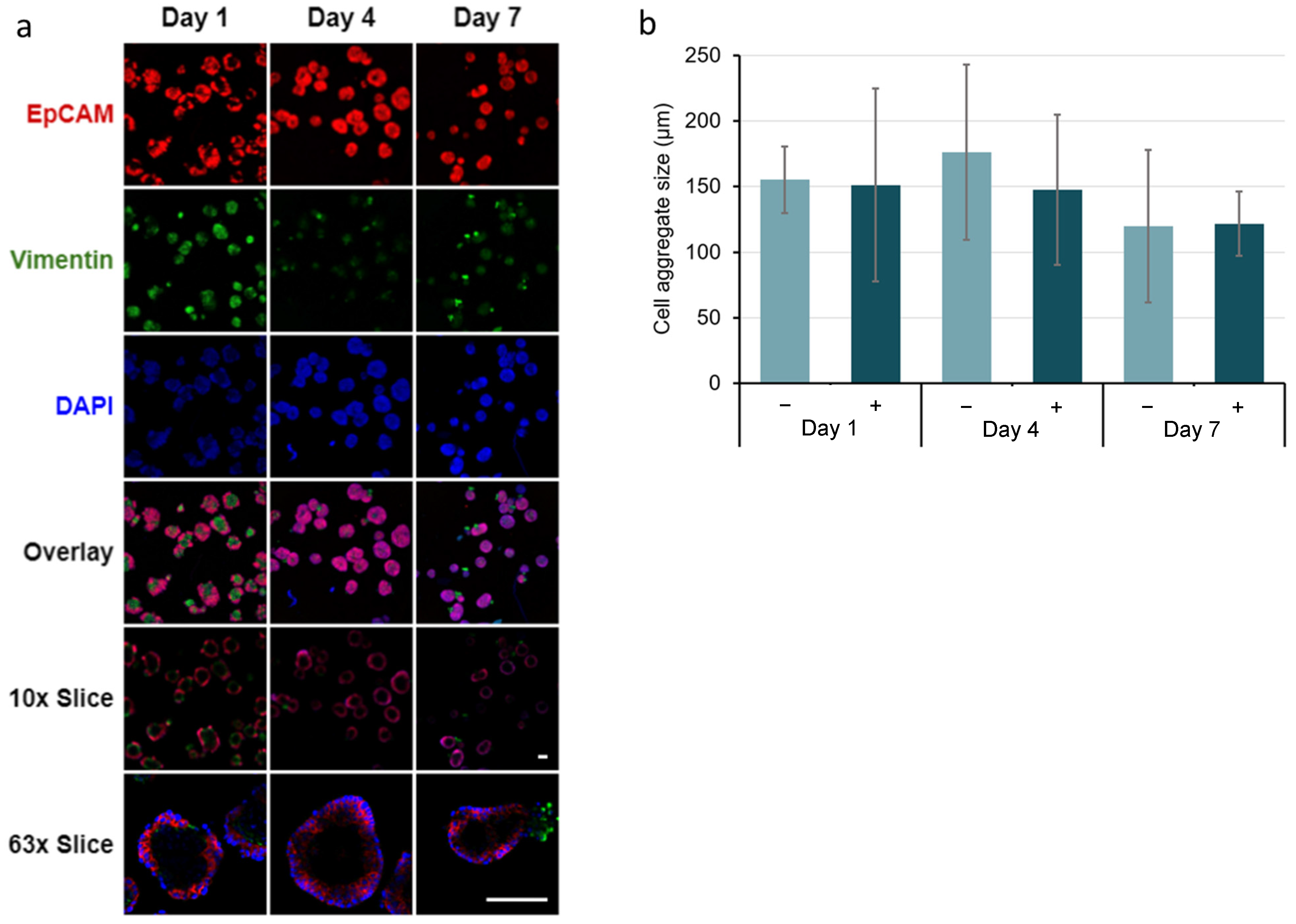 Bioengineering 09 00038 g008