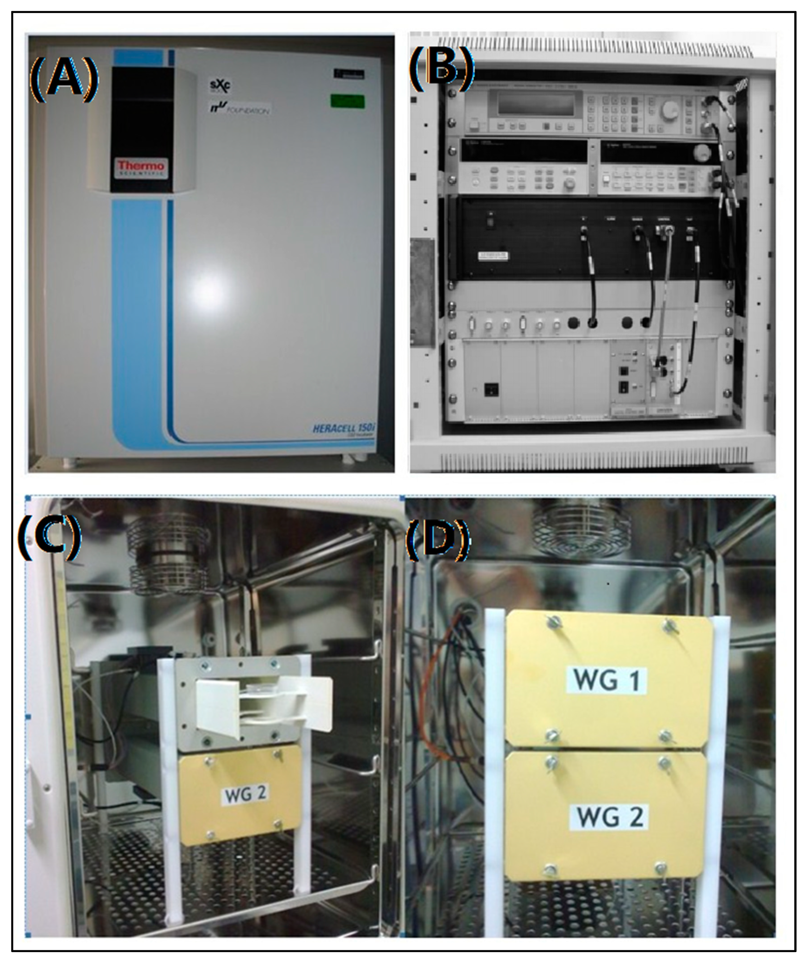 Bioengineering 09 00043 g001 Bioengineering 09 00043 g001