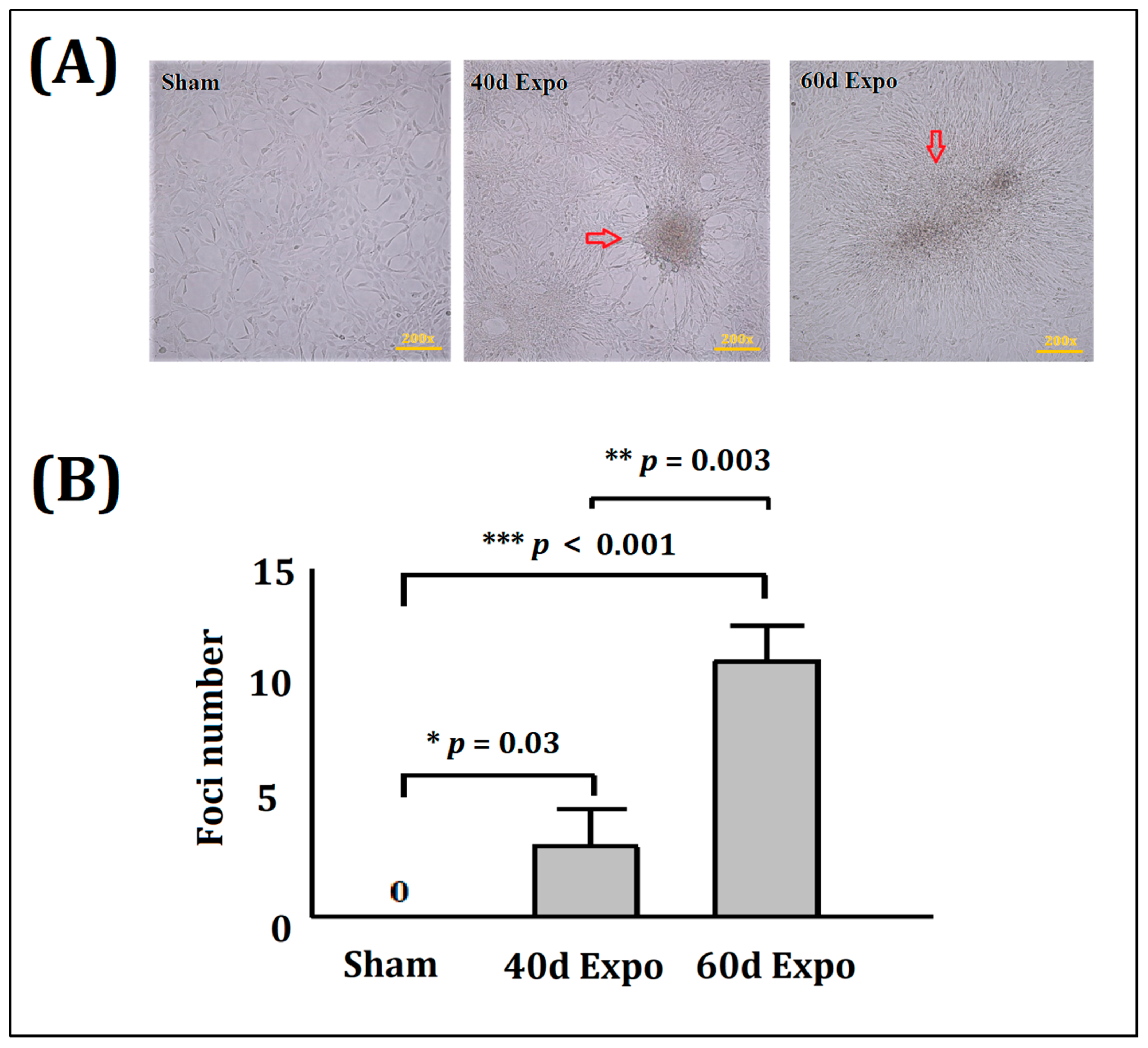 Bioengineering 09 00043 g002 Bioengineering 09 00043 g002