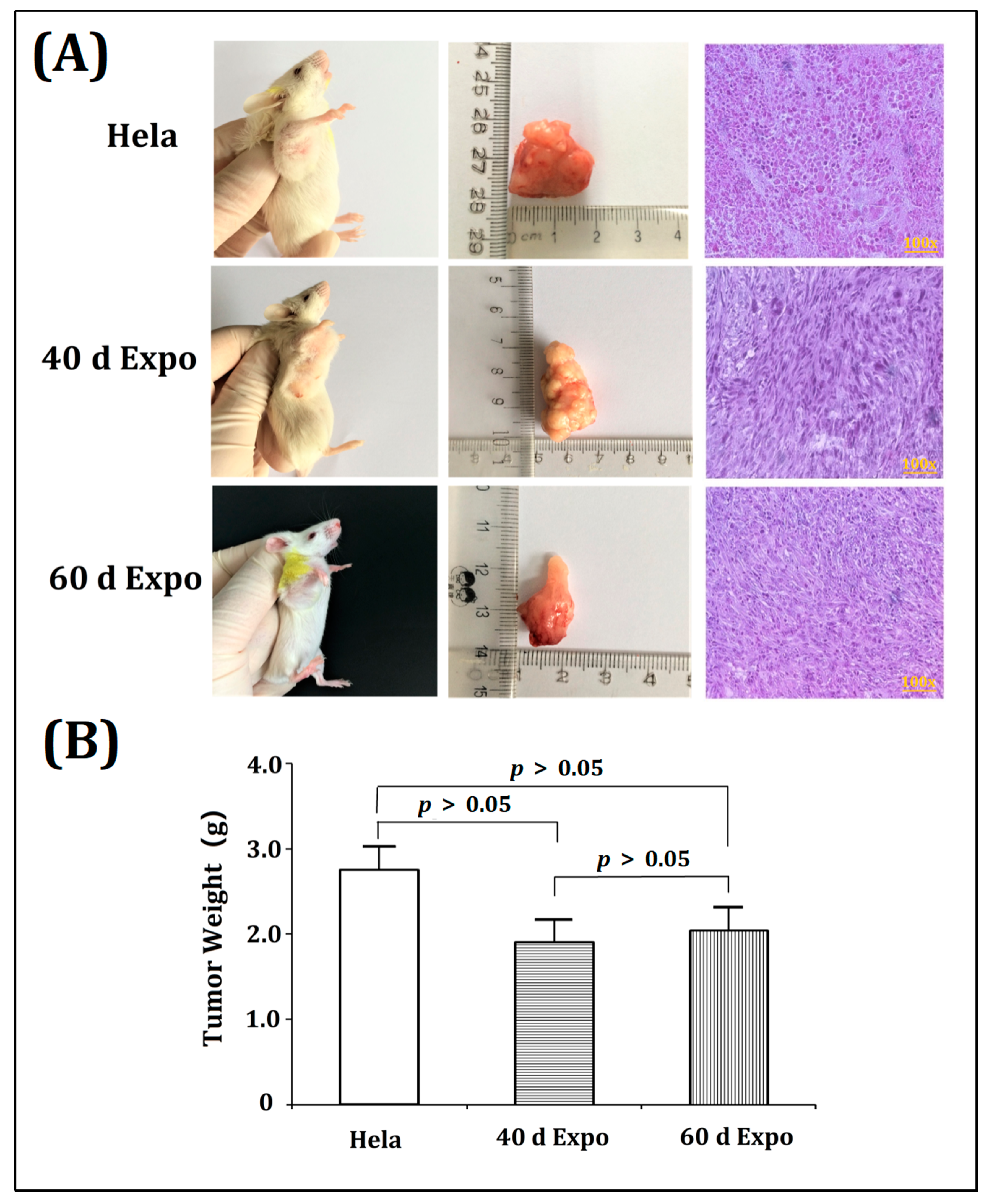 Bioengineering 09 00043 g004 Bioengineering 09 00043 g004